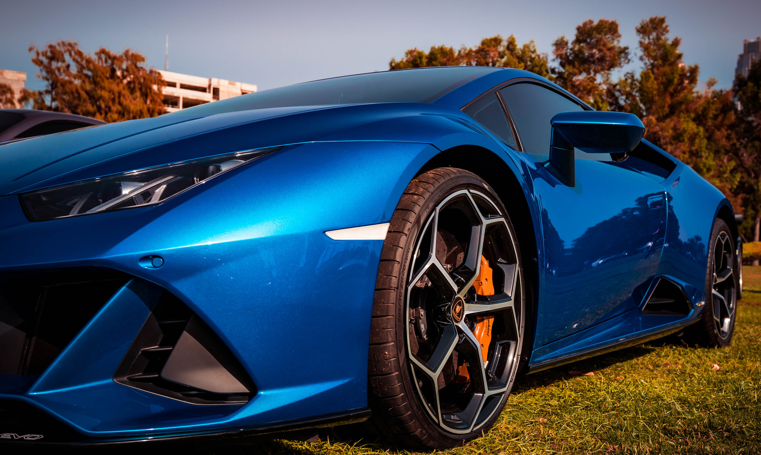 Lamborghini. Baby Beast