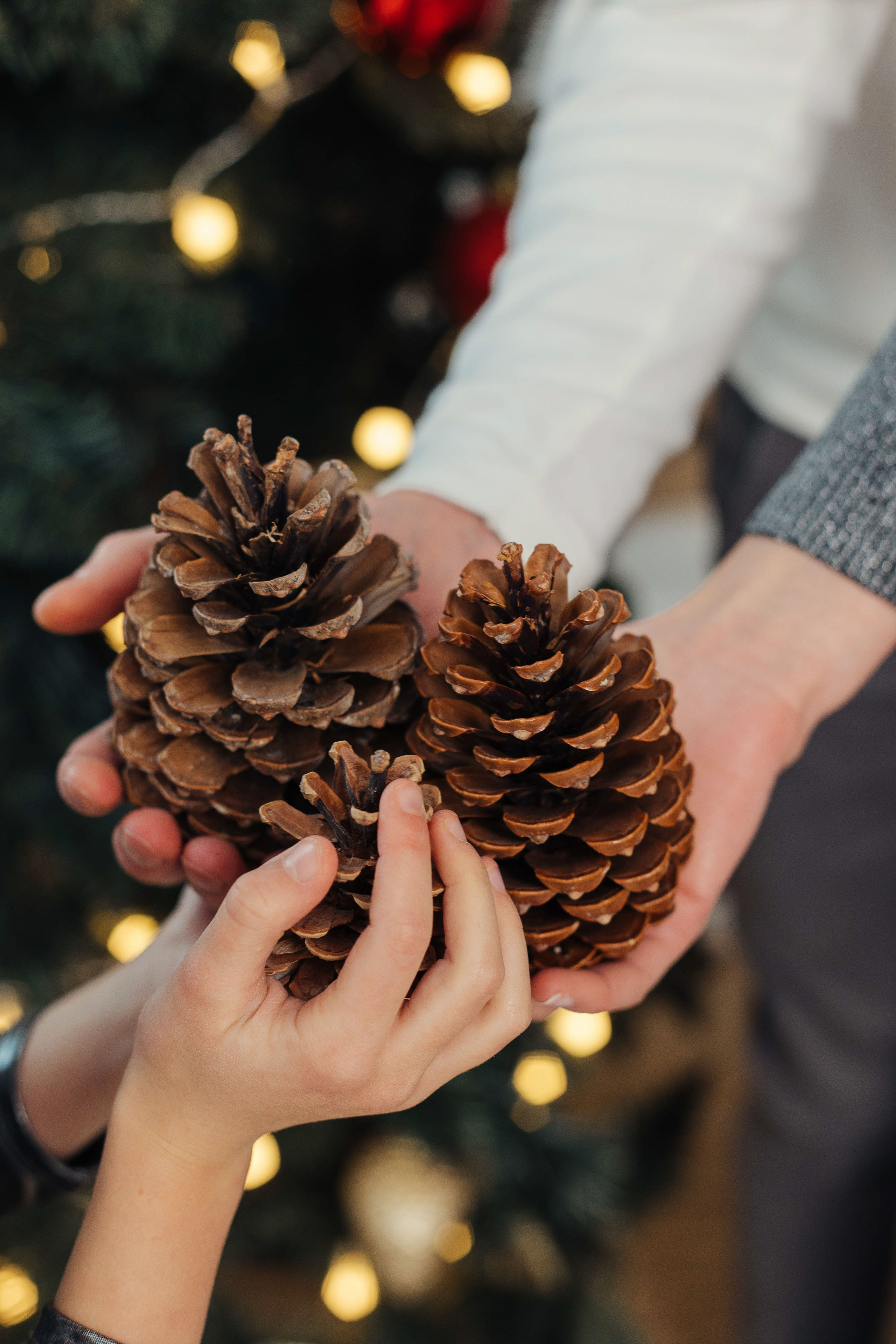 Семейная фотосессия в студии Вильнюса. Семейный и детский фотограф в Вильнюсе Светлана Наумова