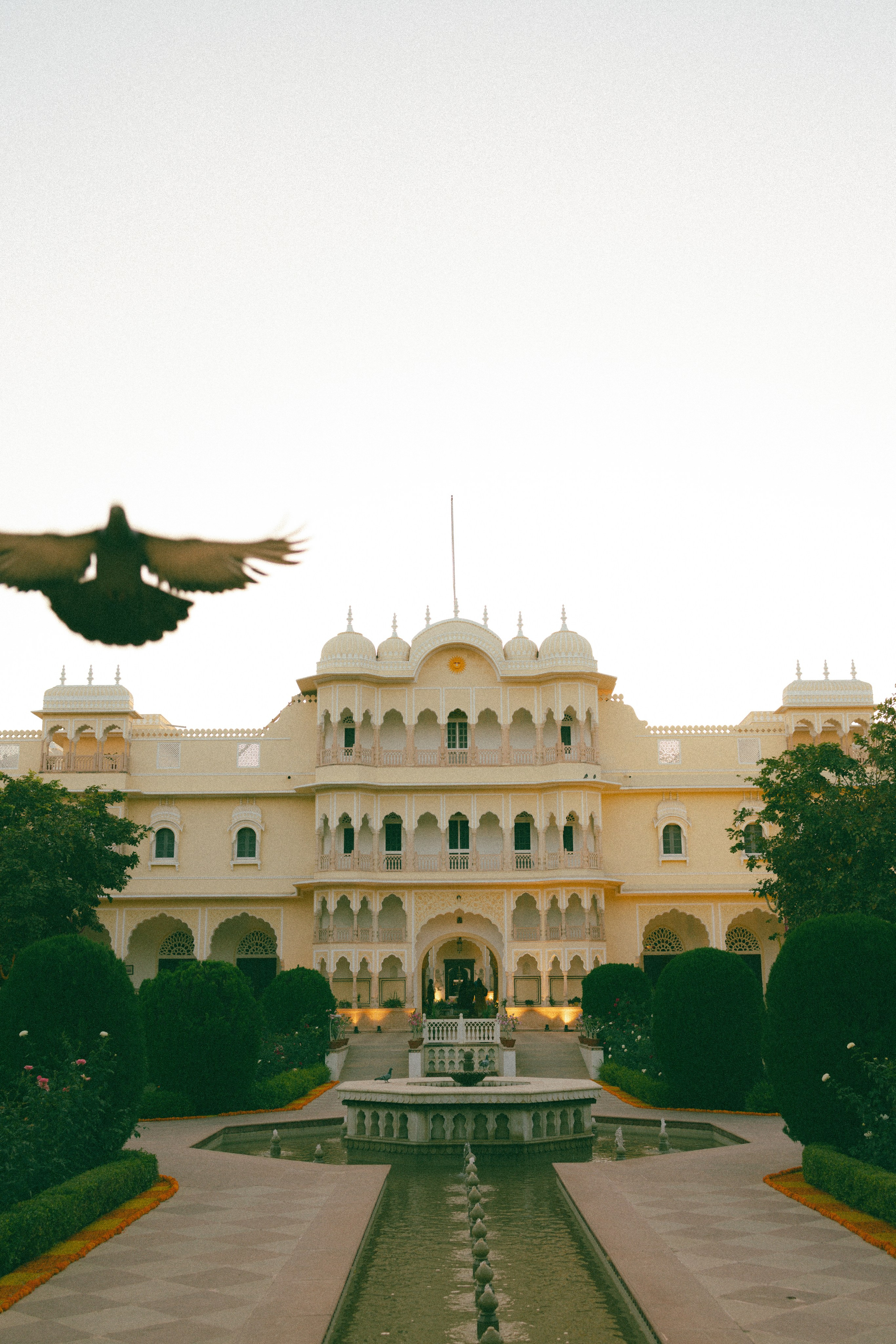 Wedding & Editorial Photographer | Anandshivadas