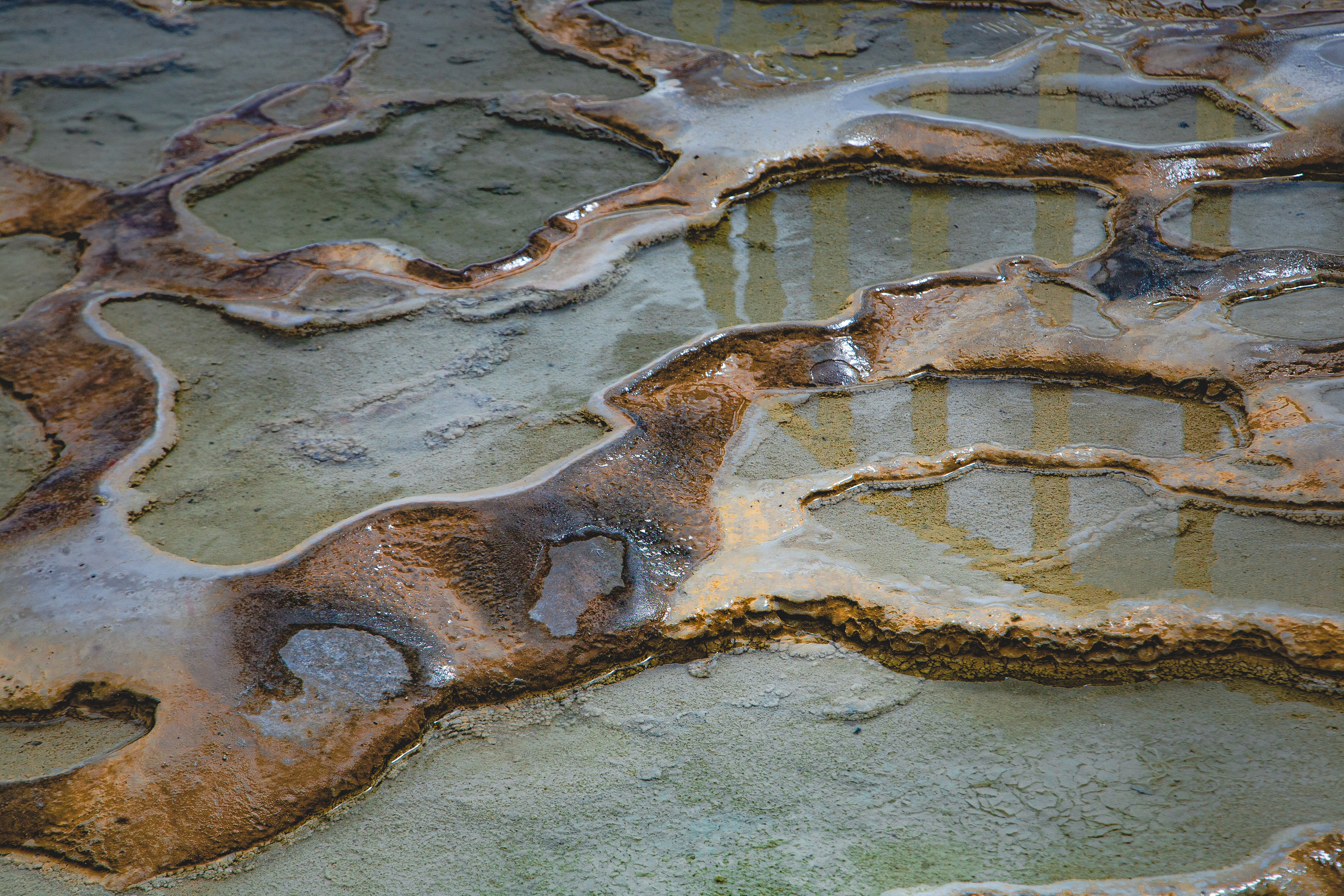 EXHIBITION. Lero Photographer and a set designer|individual custom portrait and advertising photography in Zutphen