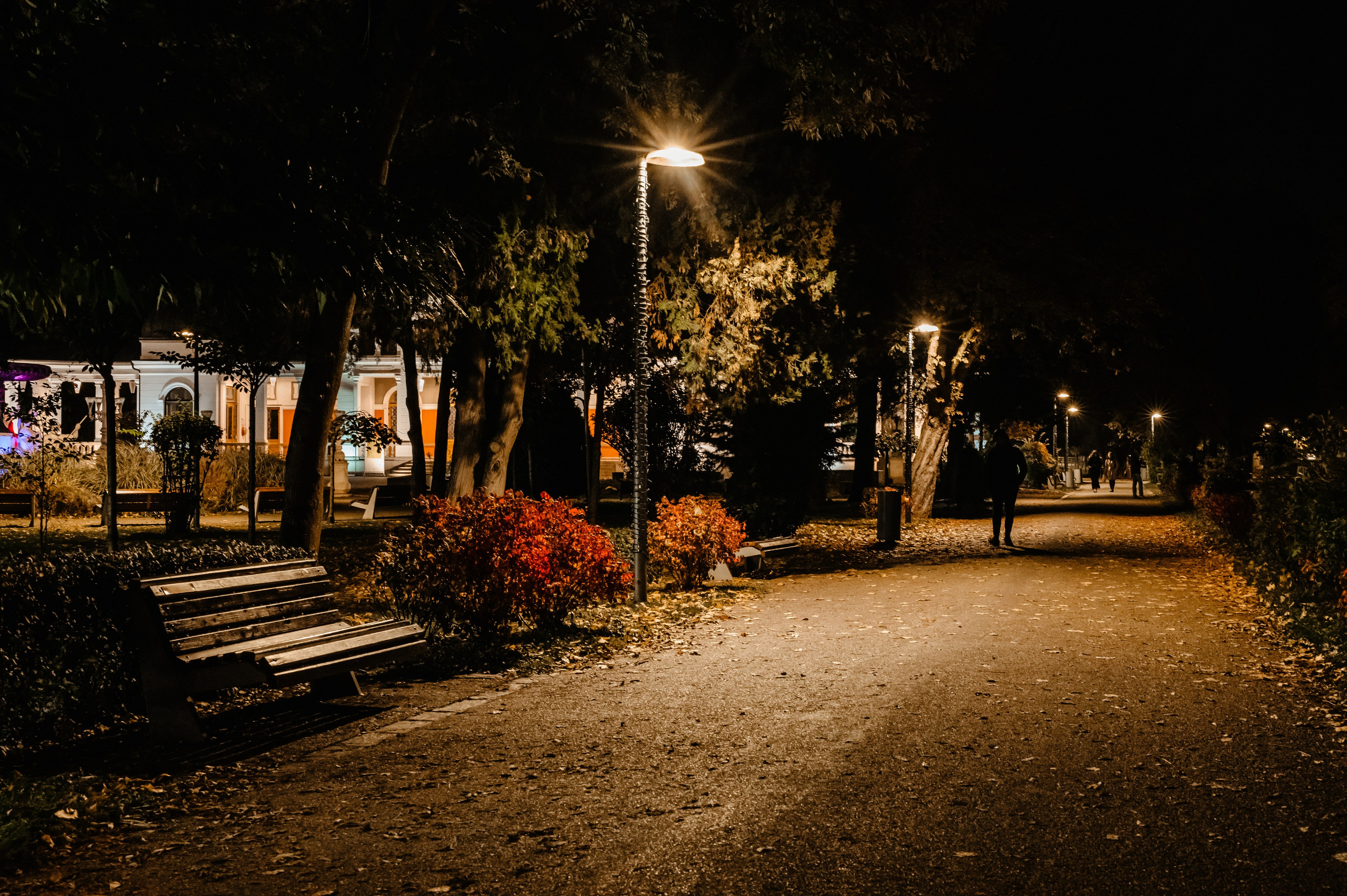 Timeless Bucovina
