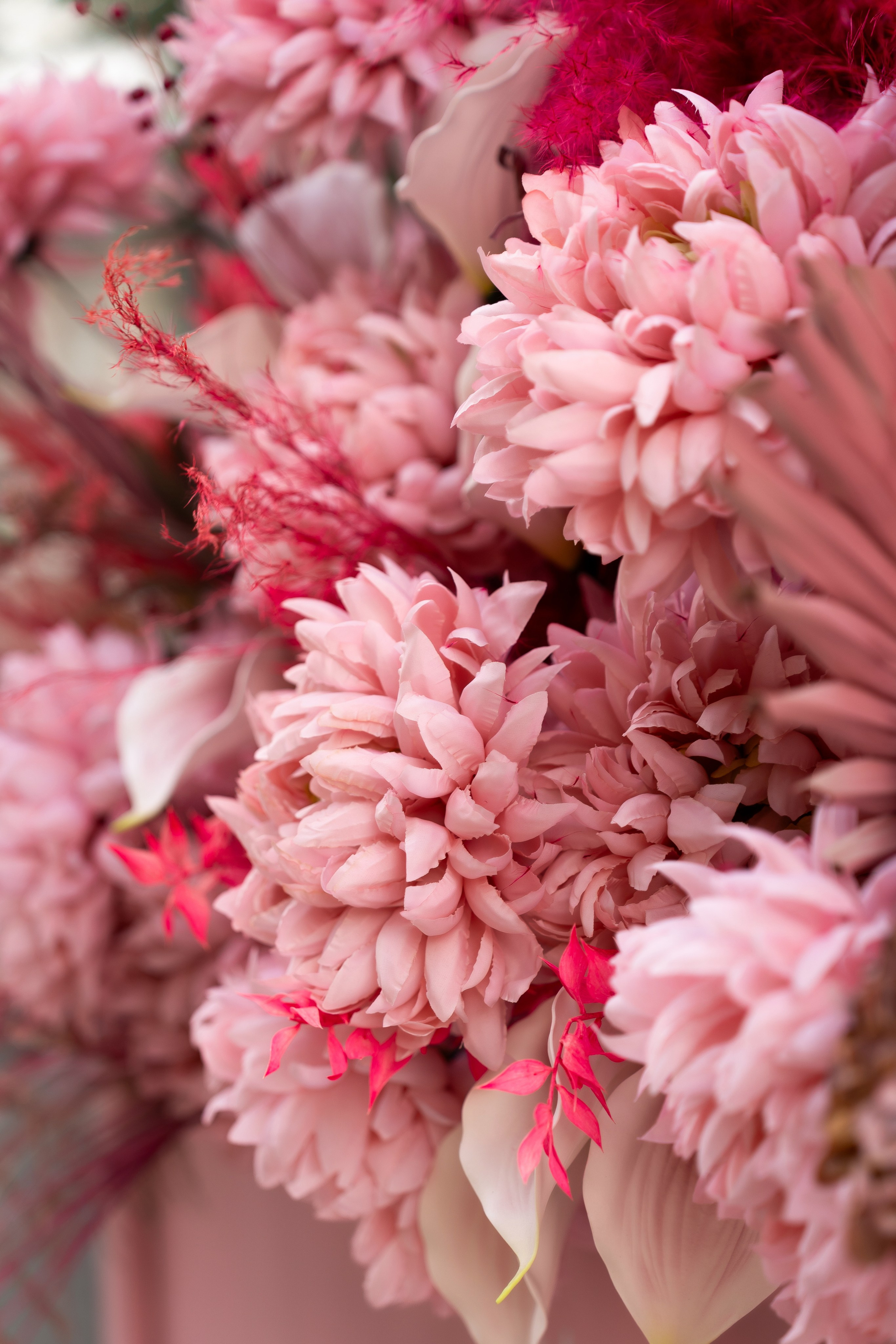 NIKA. Montenegro photographer and videographer