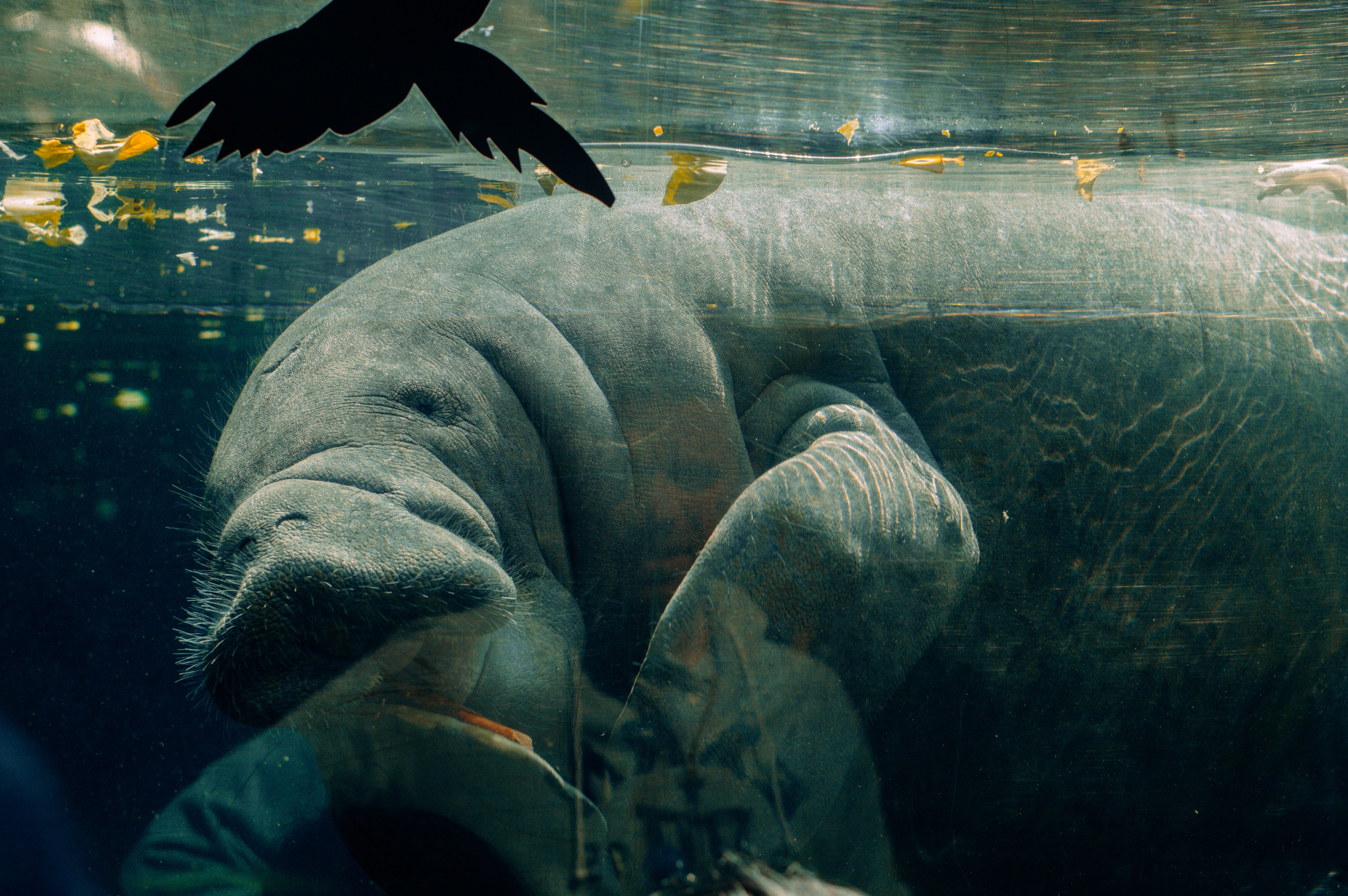 Франция. Анастасия Благова — Твой фотограф в Малаге 🇪🇸