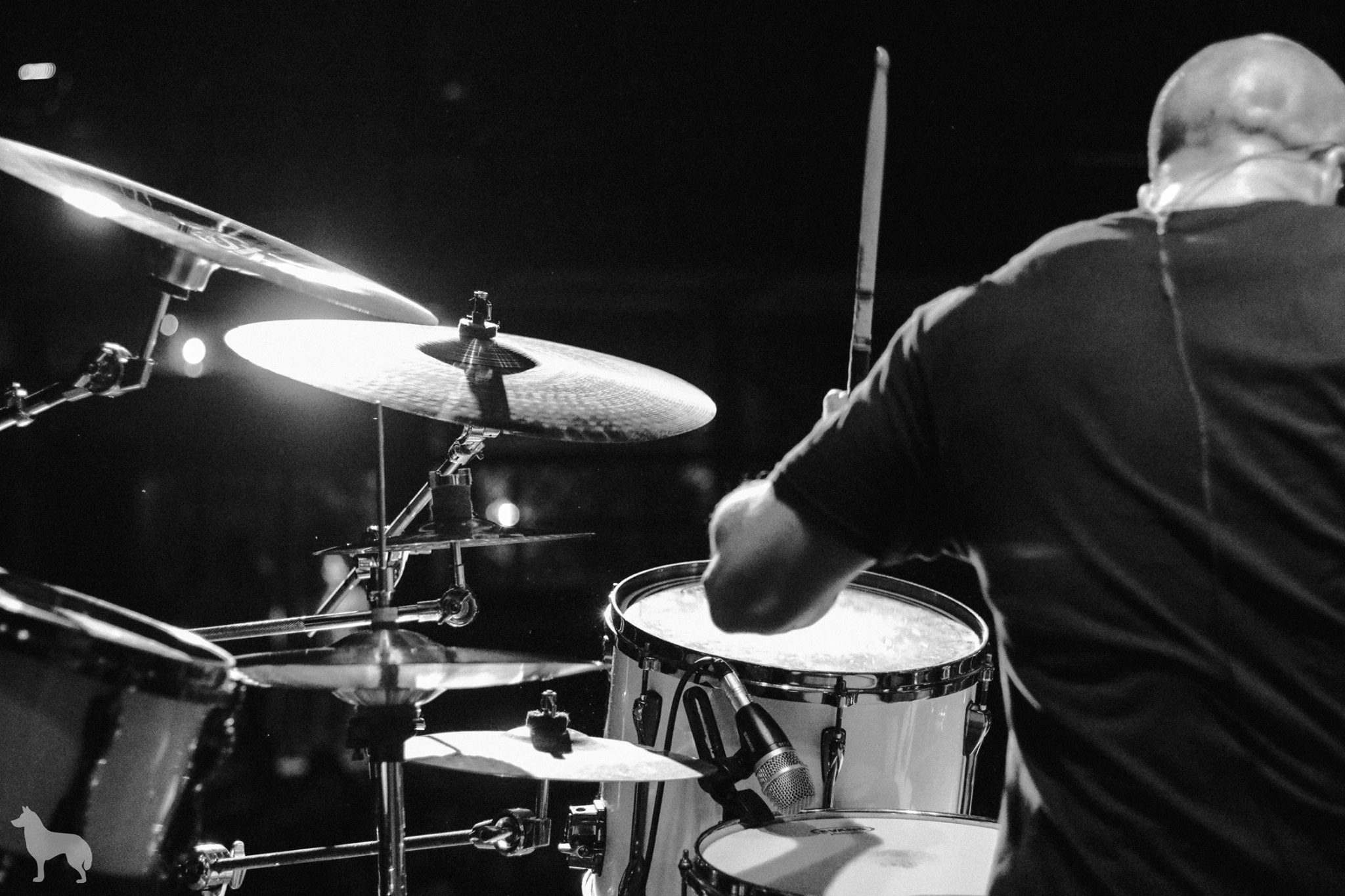 Dl. Produtora de videos