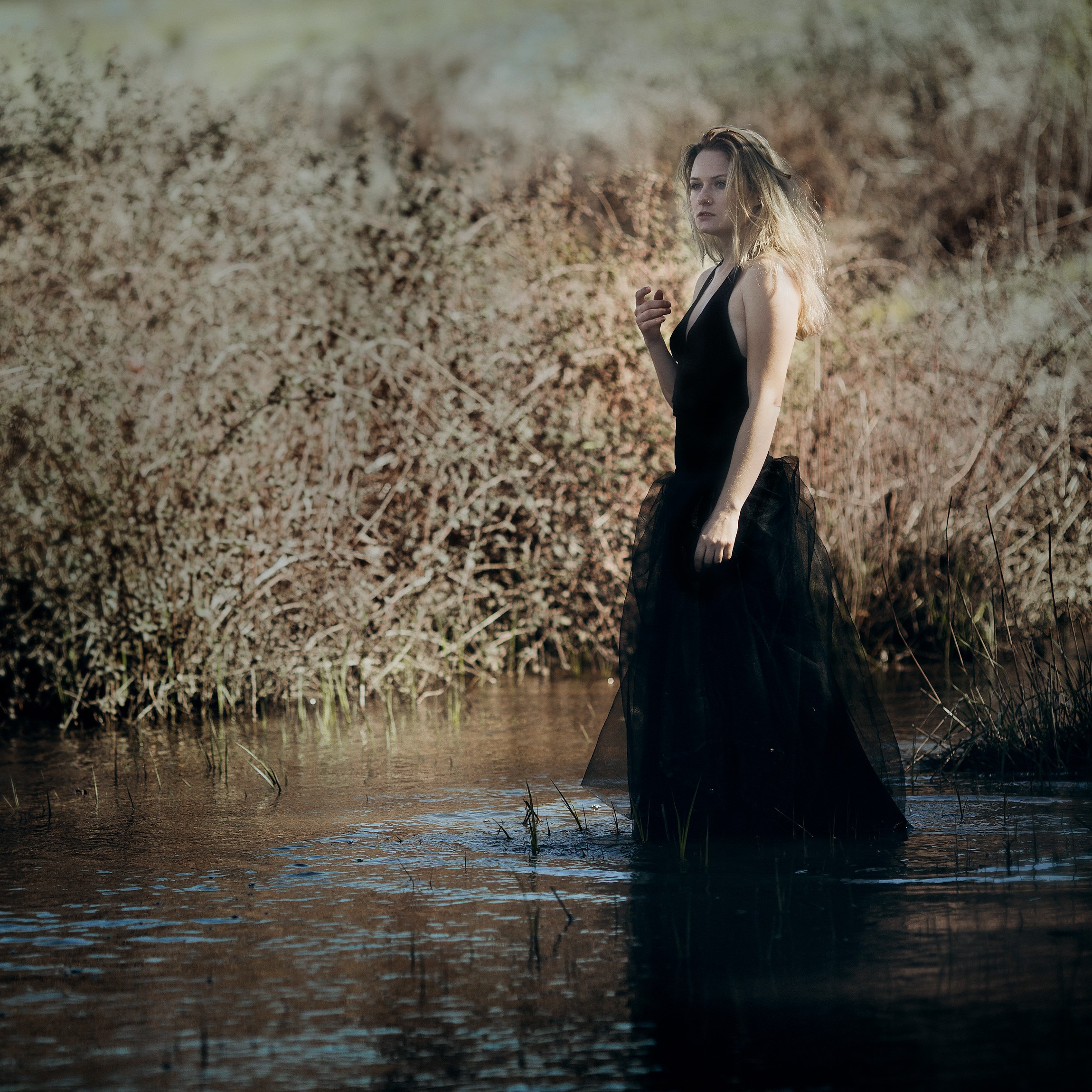 Fine Art Image gallery of Tomer Weiss Fine art