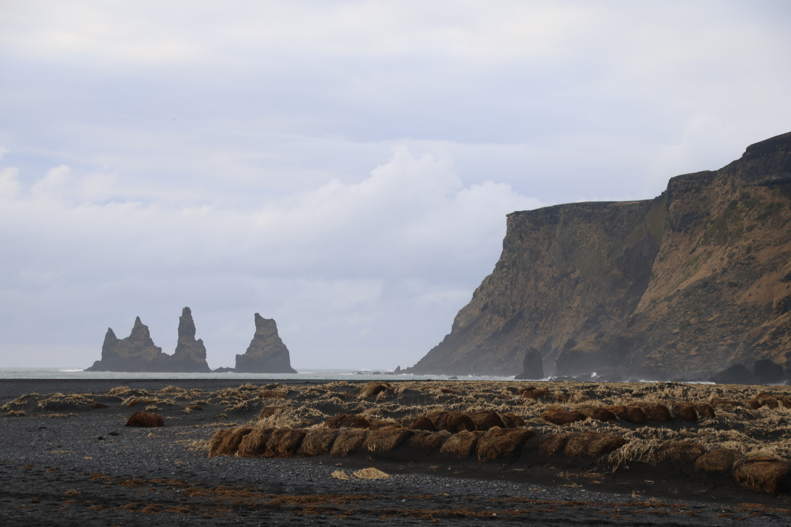 Iceland 2025. Marina, Fotograf aus Nürnberg