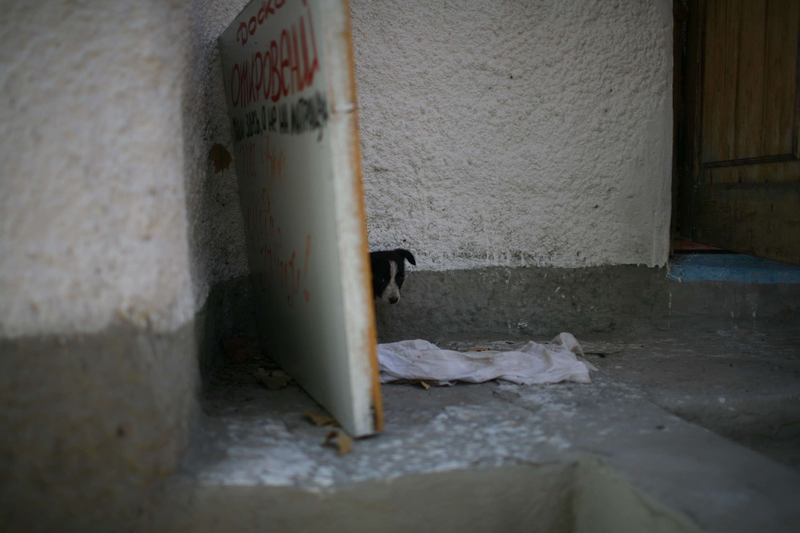 Лагерь. Виктория Дини. Арт-фотография