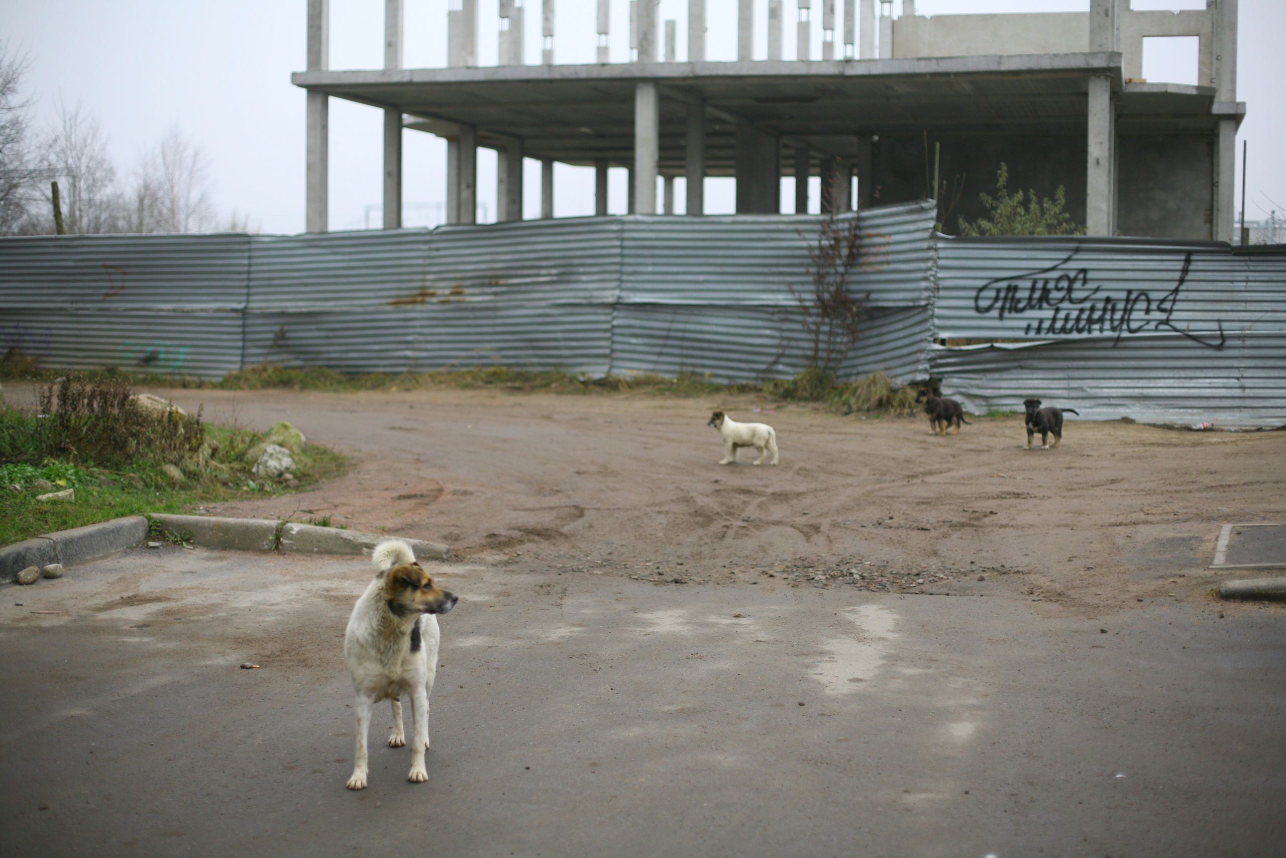 Documentary. Victoria Dini. Art photography in London / Folkestone, UK