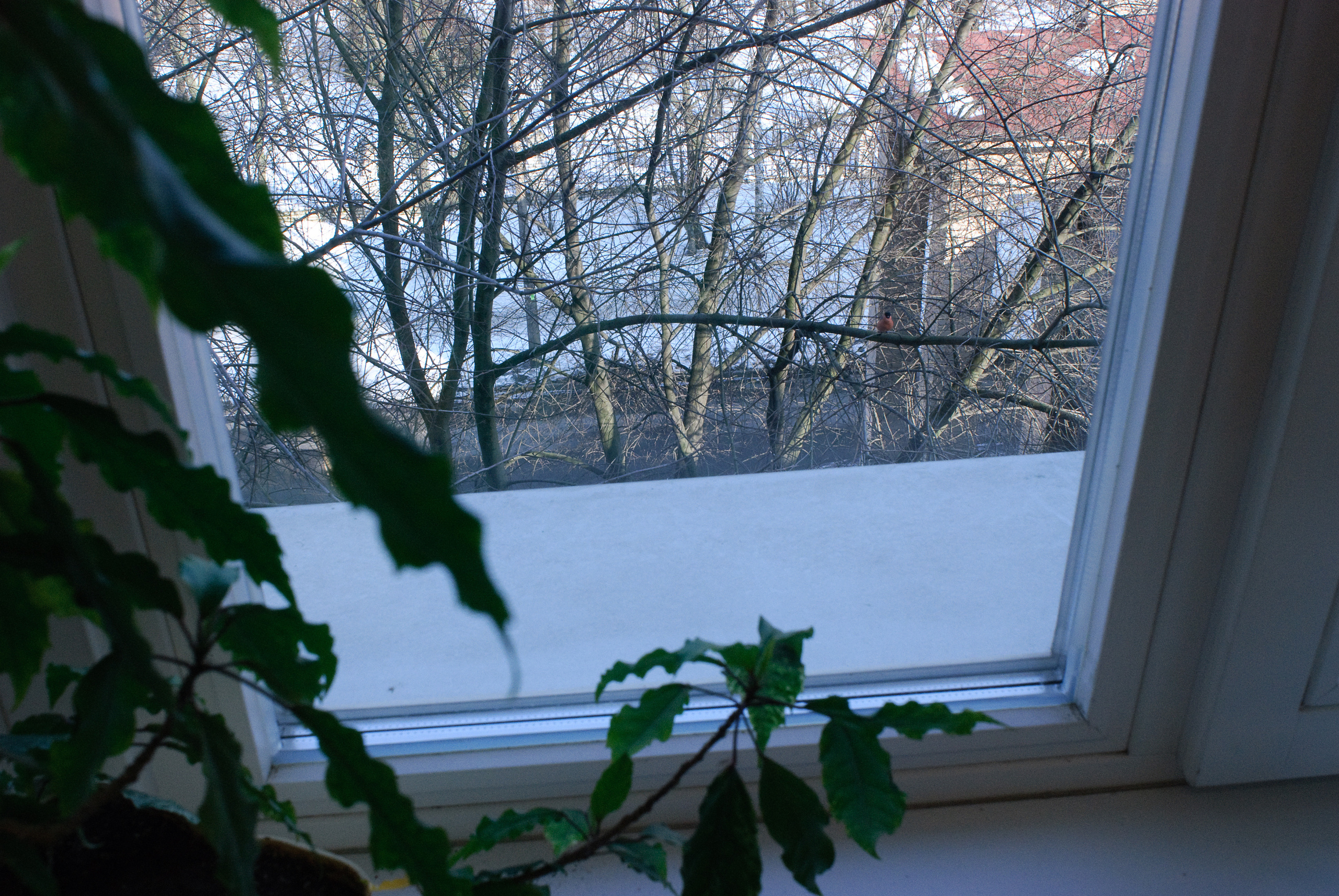 Перед весной. Виктория Дини. Арт-фотография