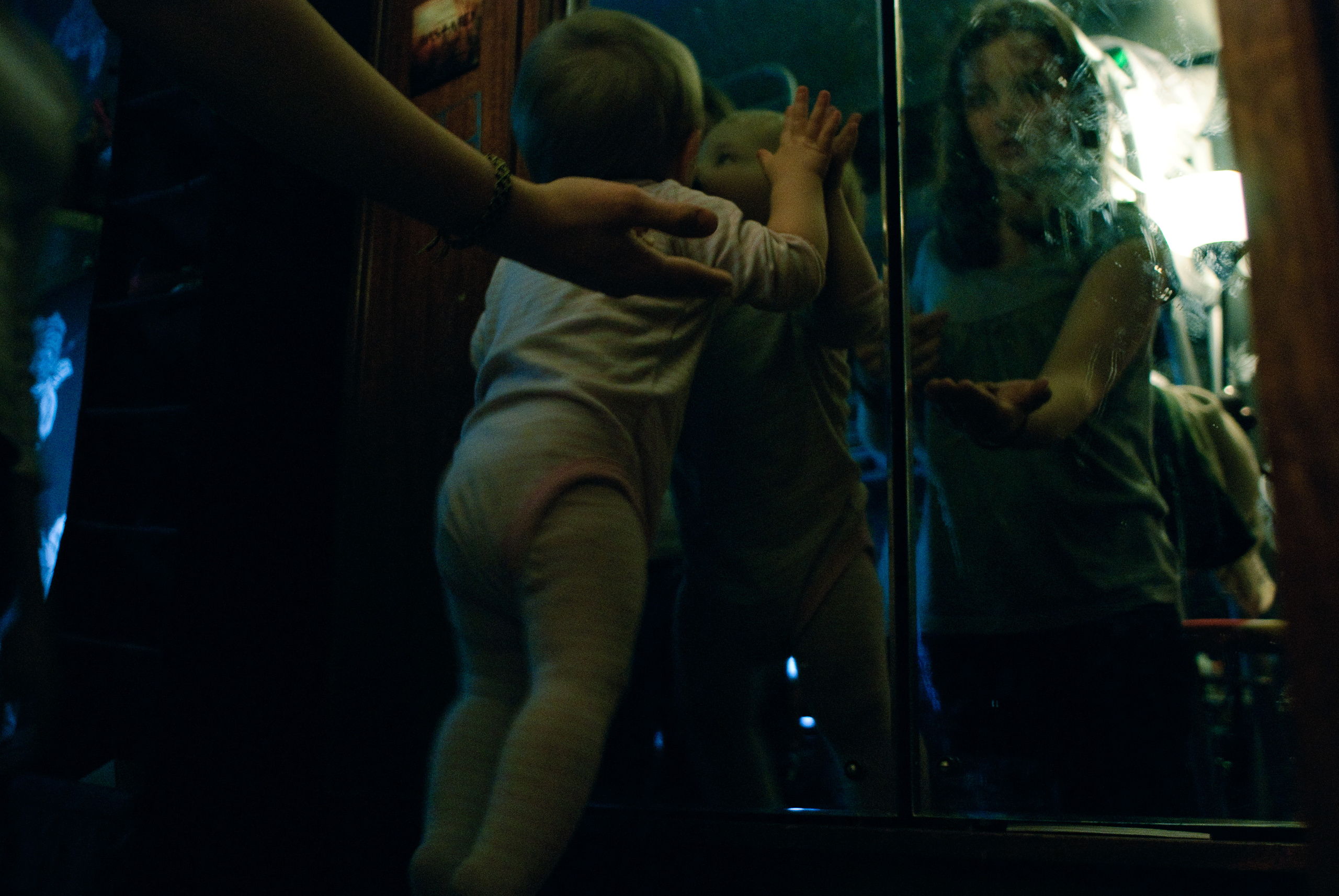 Перед весной. Виктория Дини. Арт-фотография