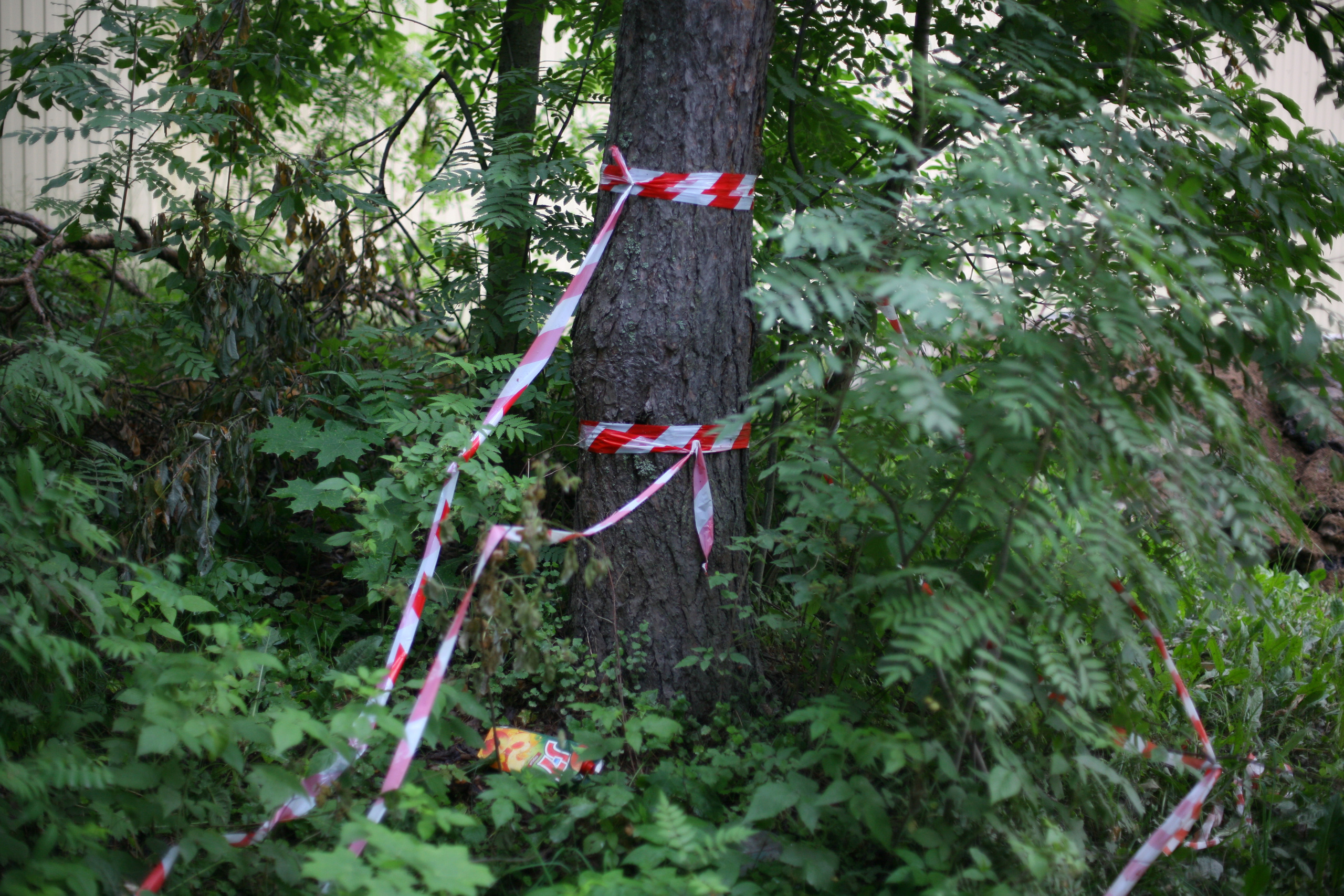 Documentary. Victoria Dini. Art photography in London / Folkestone, UK