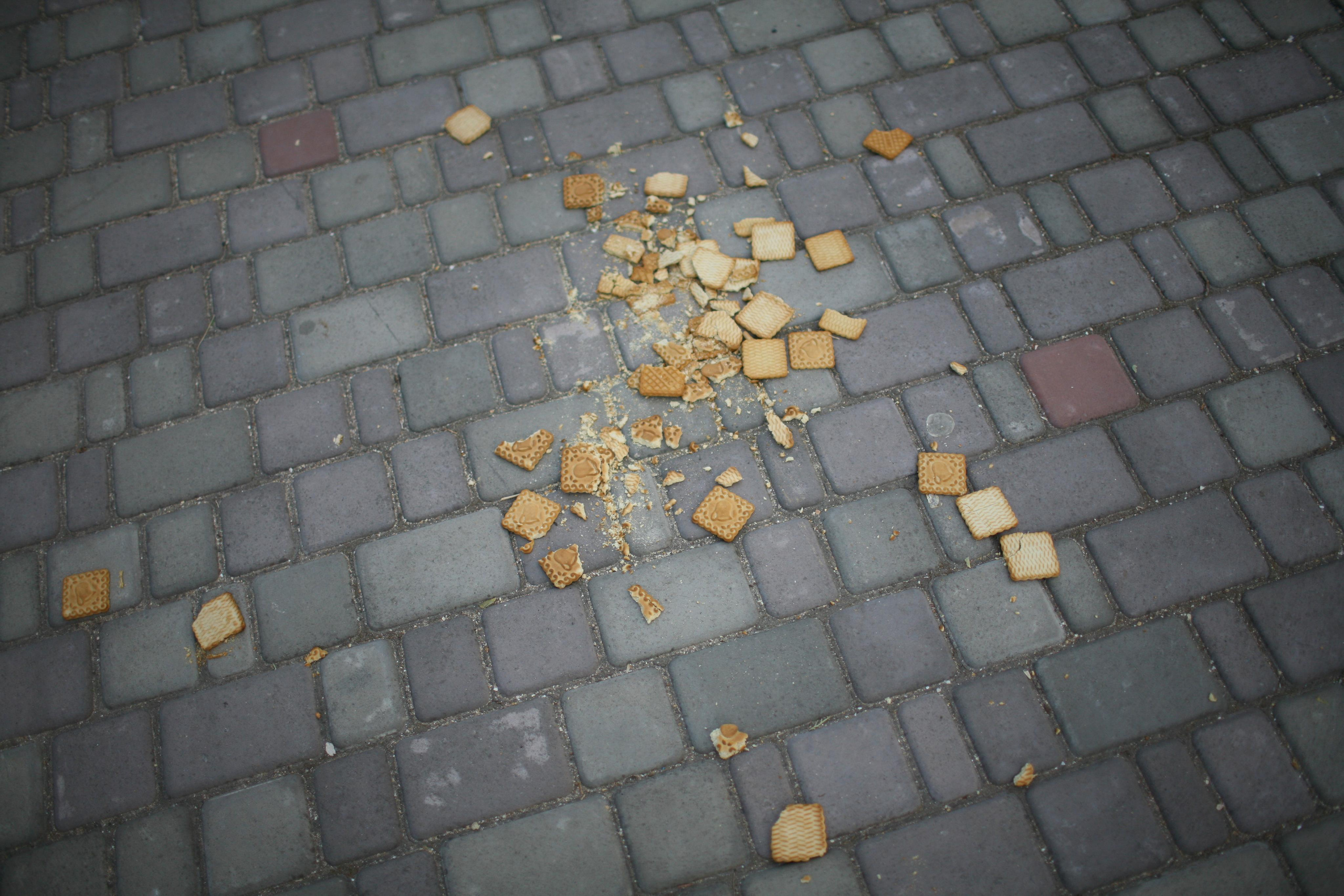 Лагерь. Виктория Дини. Арт-фотография