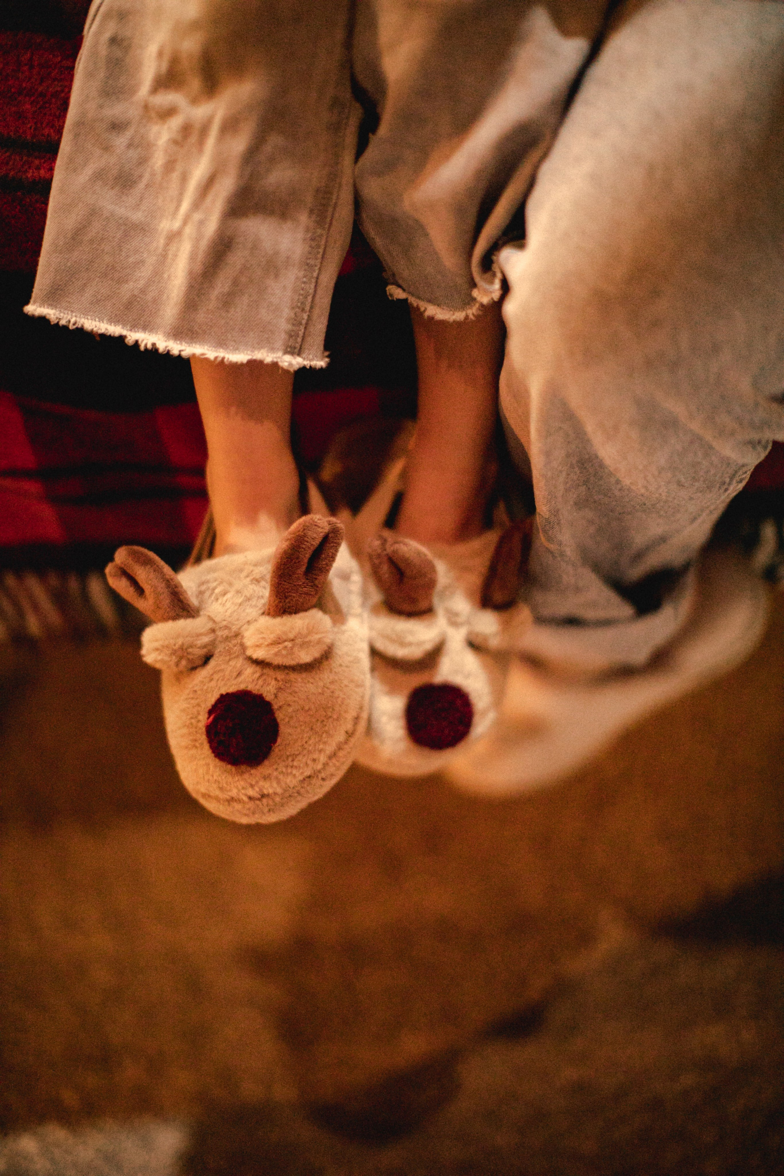 Holidays. Photographer in Miami, Family photographer, Event, Wedding