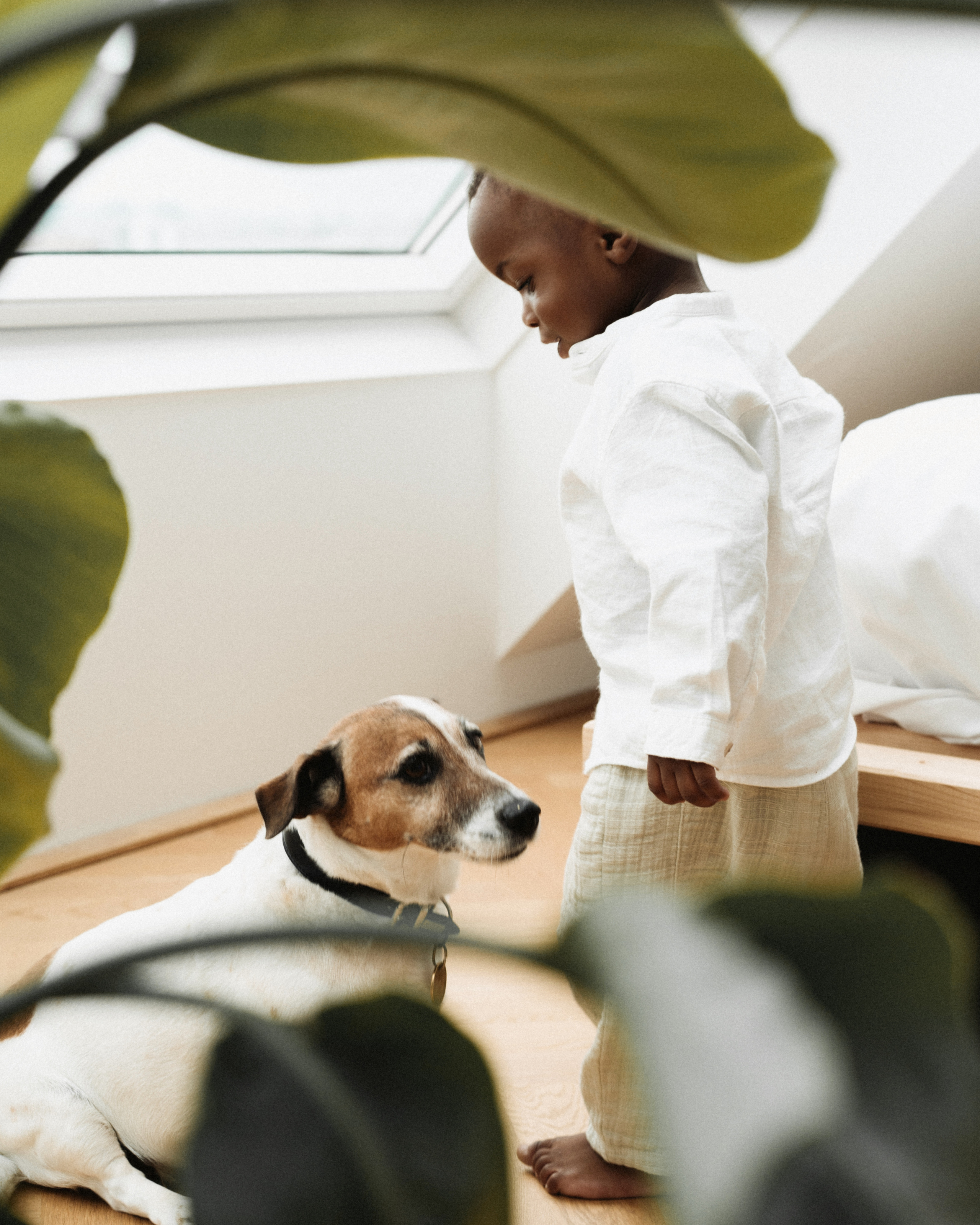 Rooftop. Elena Pretzner Photography