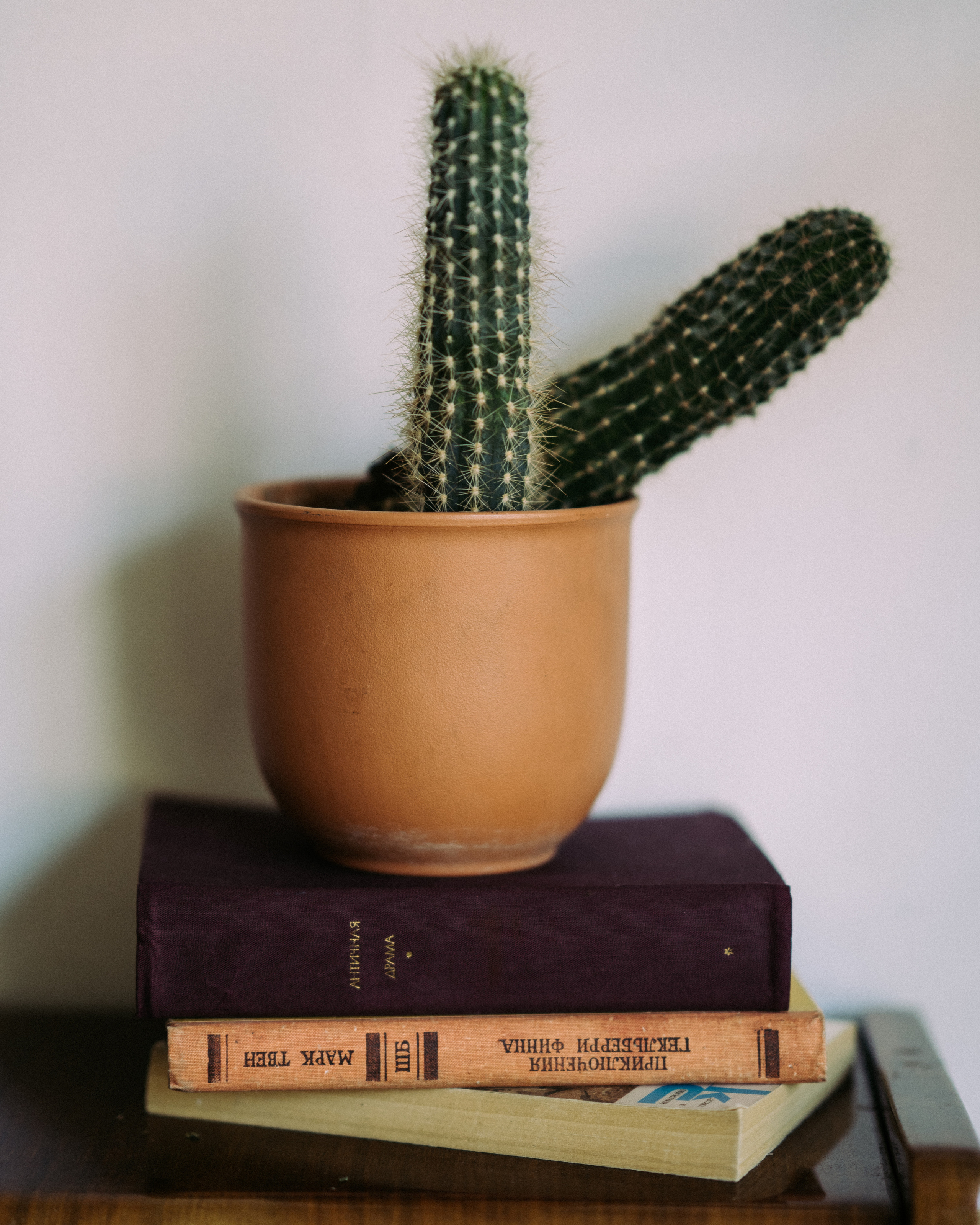 Maya. Elena Pretzner Photography