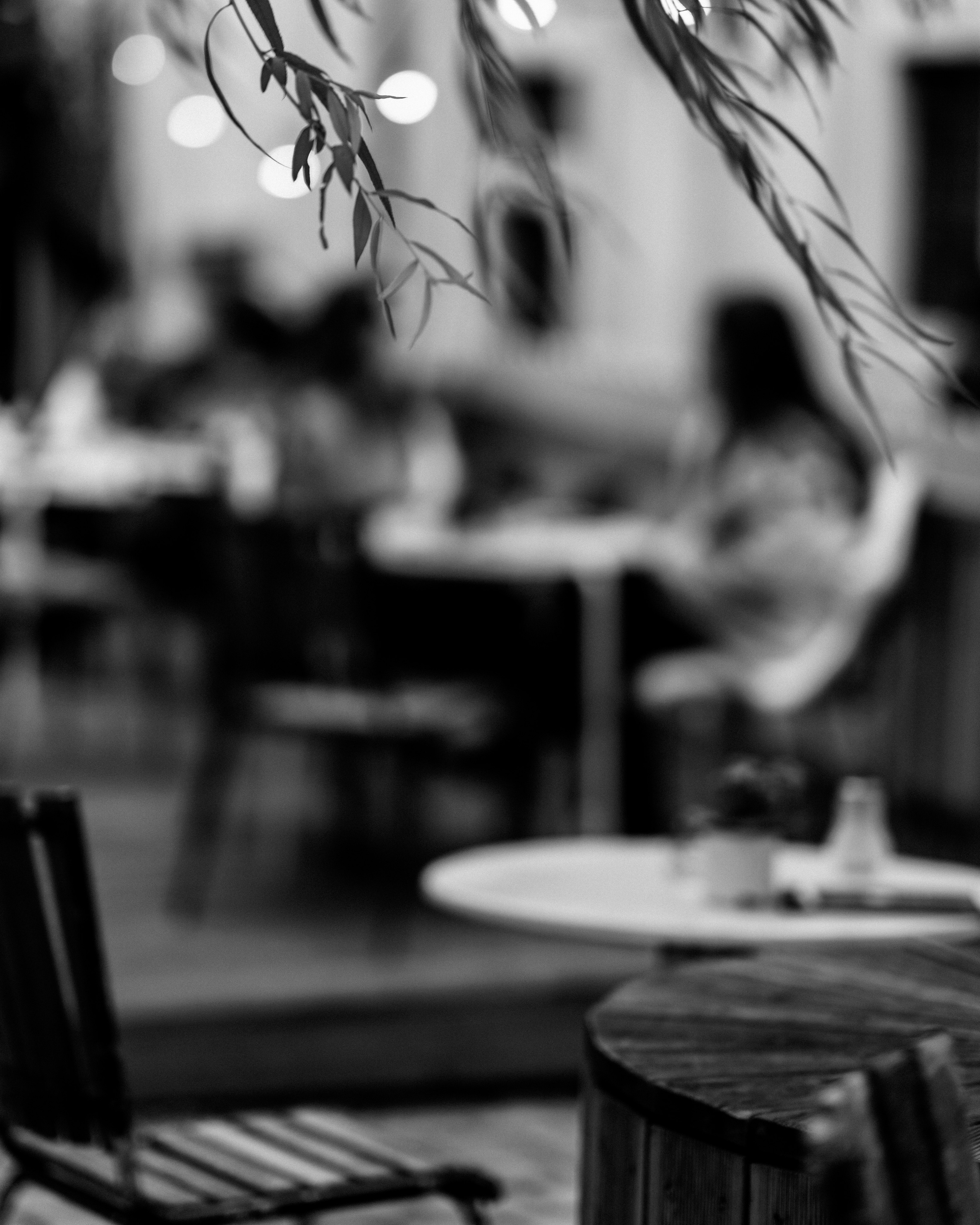 Nora- Vienna walk. Elena Pretzner Photography