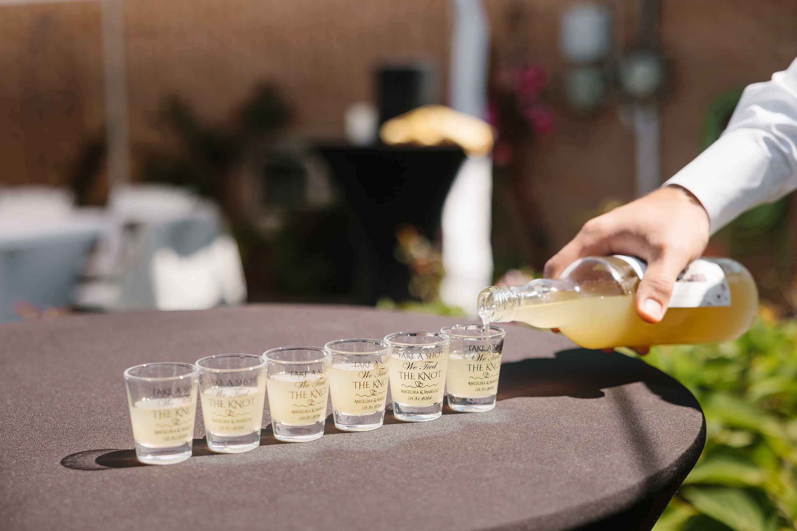 31.08.2024 Wedding. Wedding family event photographer in Chicago Nick Yushevich