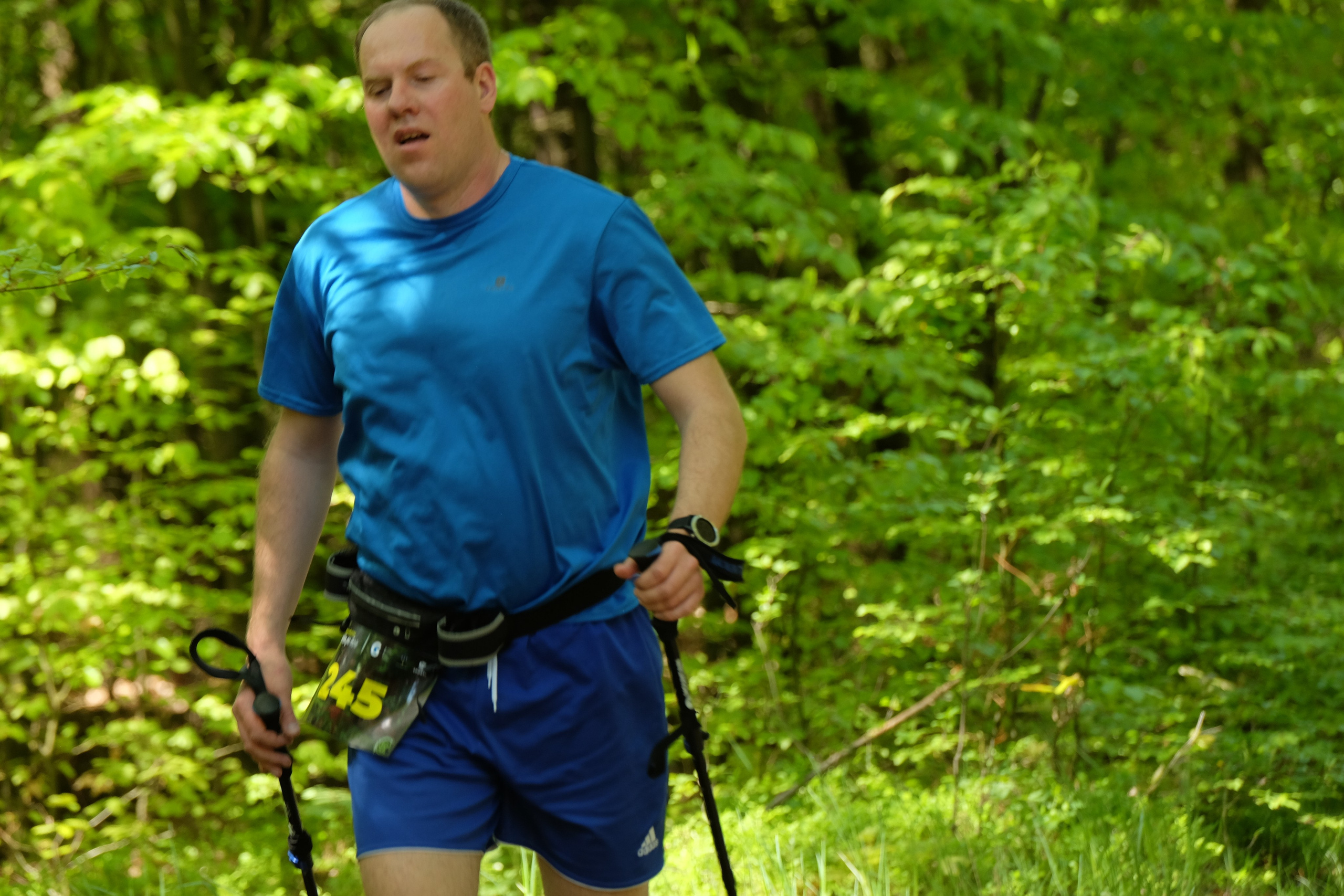 Aleksandryjska Piątka po lesie. Main