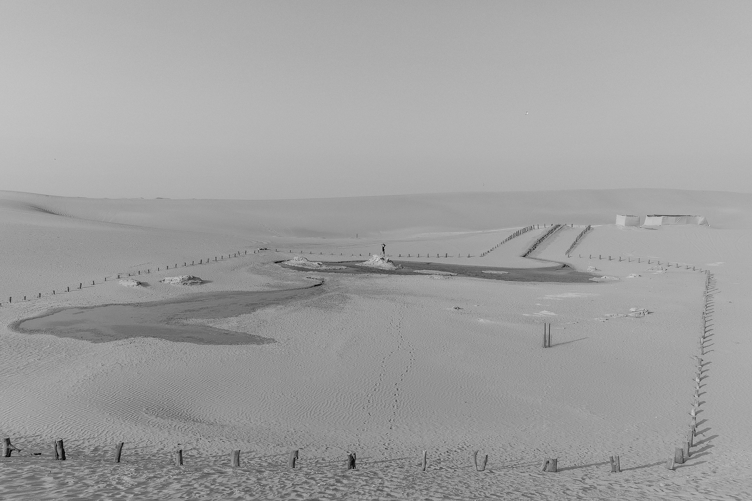 Alisa in Desertland. Портретний та весільний фотограф Надія Онода