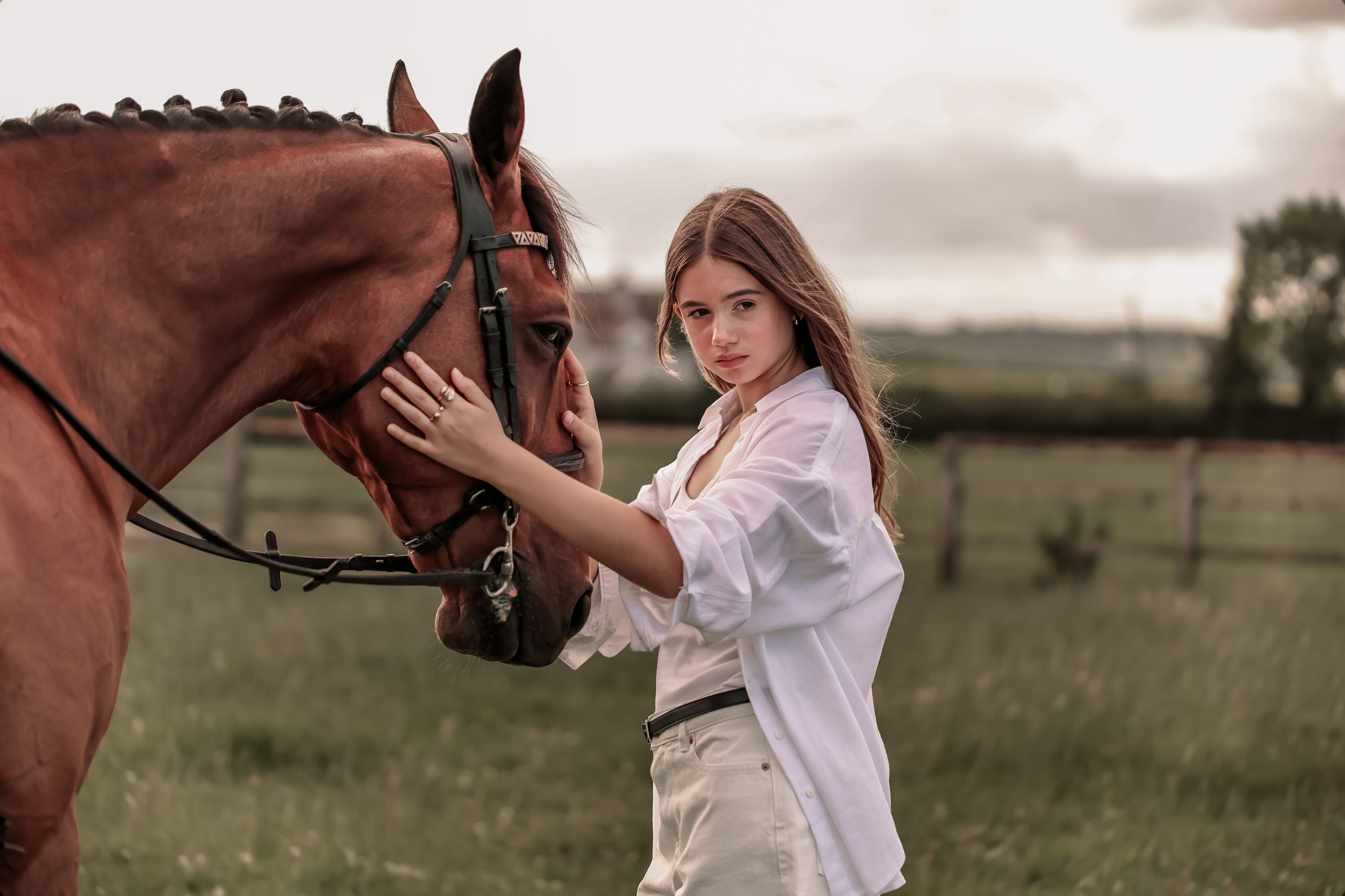 Among the Horses. Photographer Co Dublin, Balbriggan — Agata Maliseva