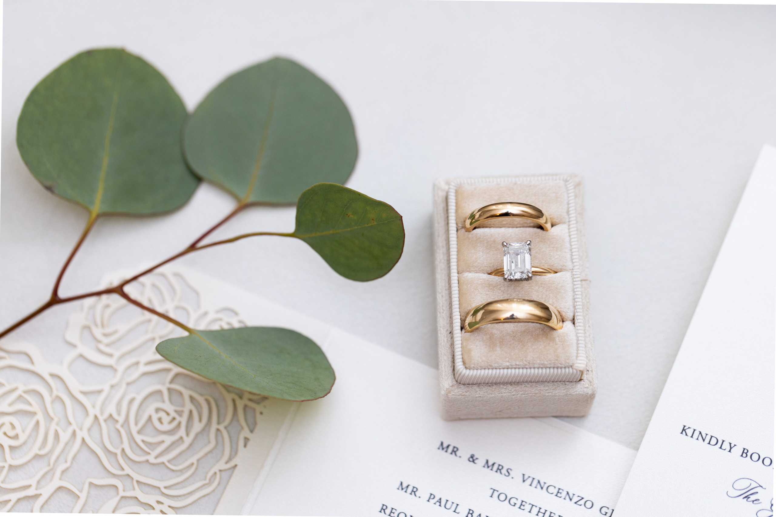 Alessia & Forrest. Wedding Photo & Video