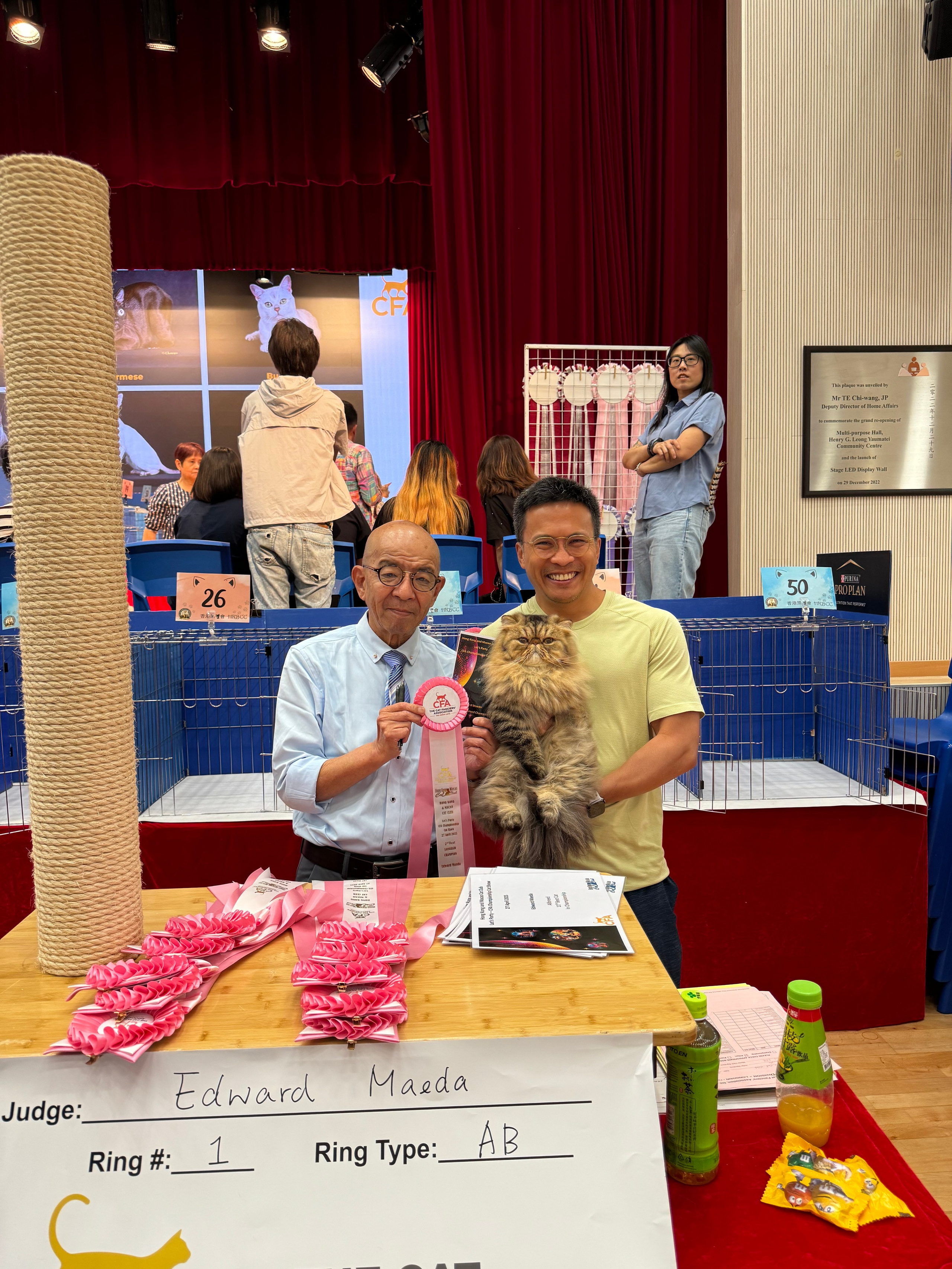 LEMON GREEN SIBERIANS BEAR