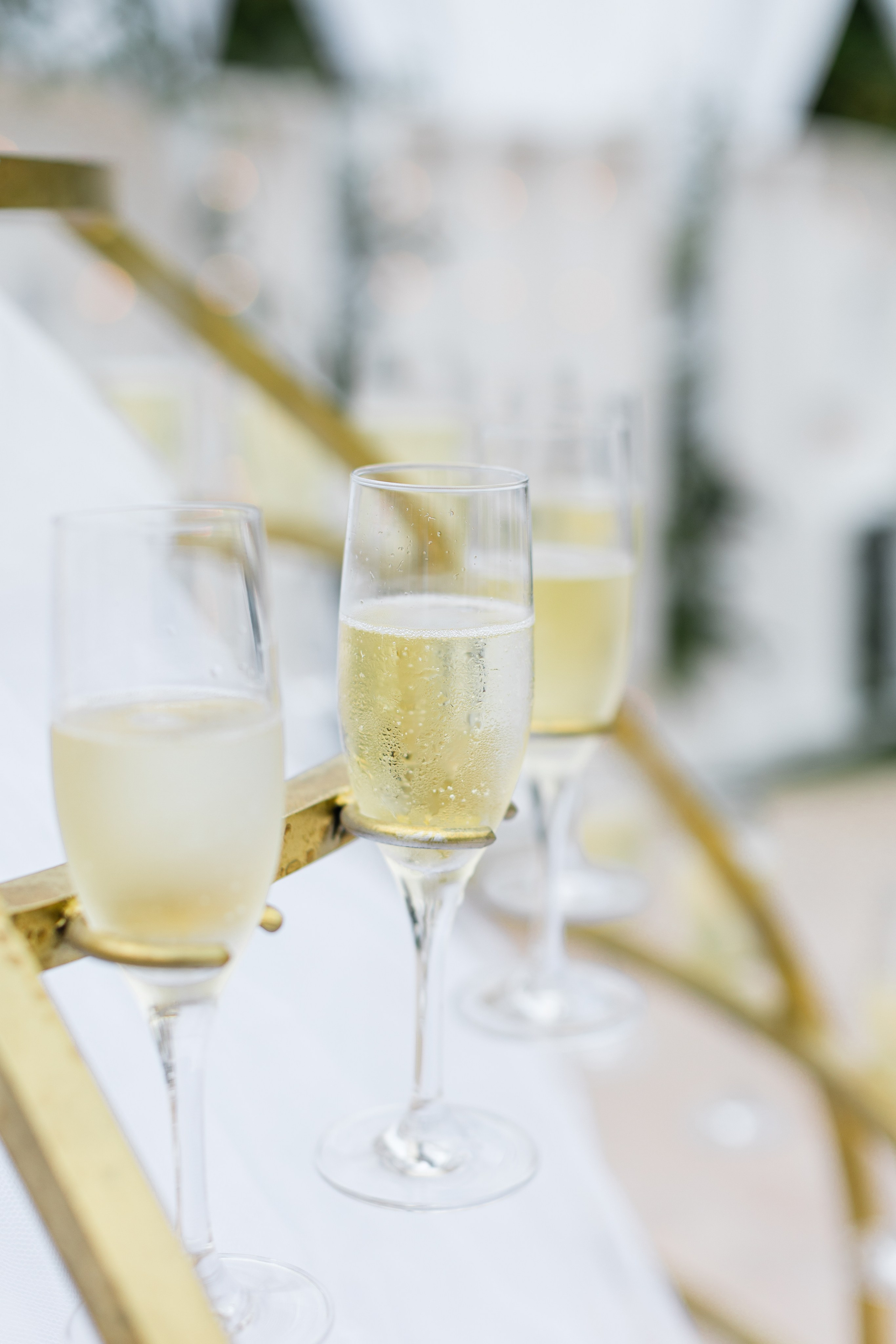 Diana and Filippe Bahamas Wedding. Family and Event photographer in Homestead and Miami areas of Florida