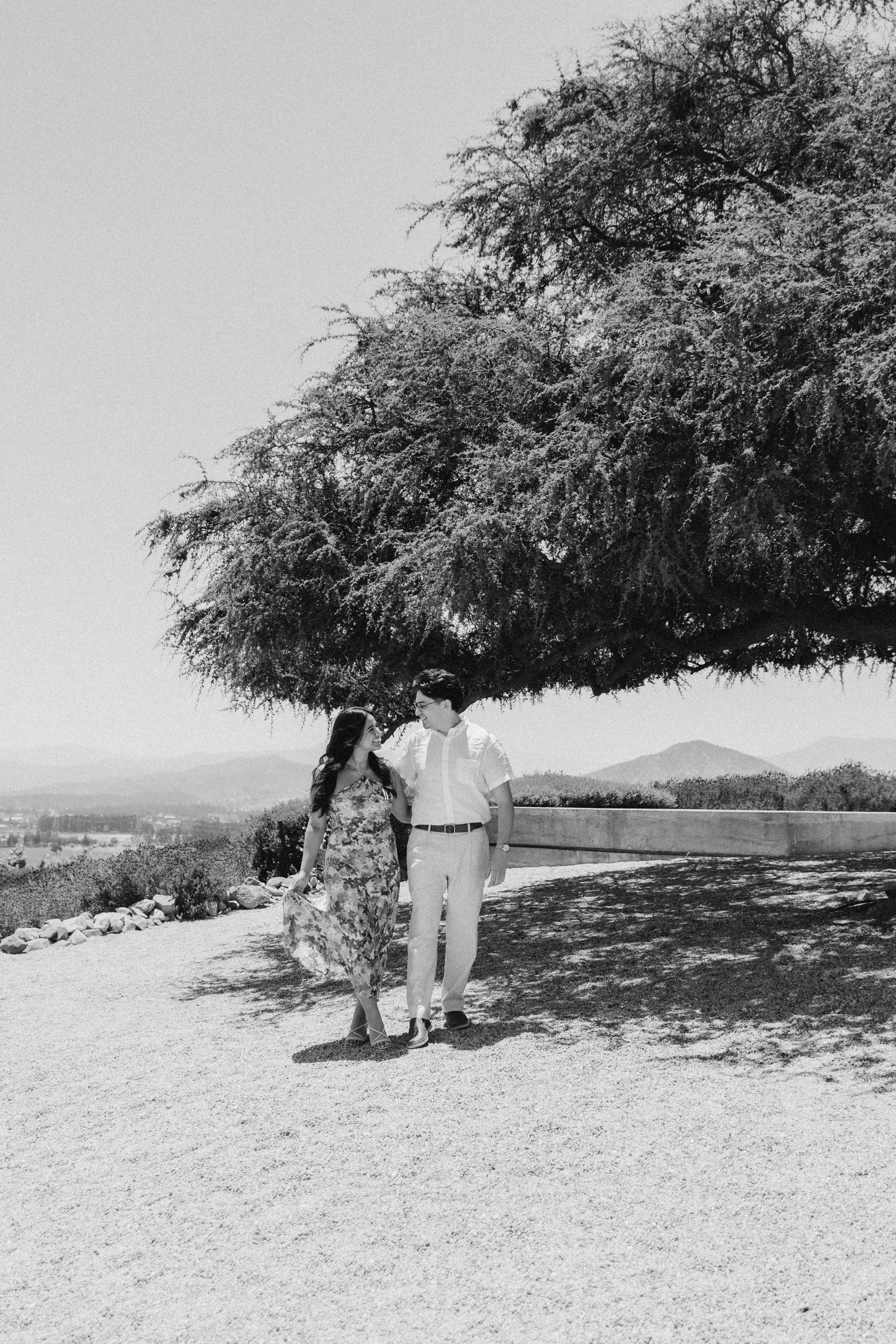 Brian & Erika. Wedding proposal. Fotógrafa familiar Santiago y Chile Anna Almazova