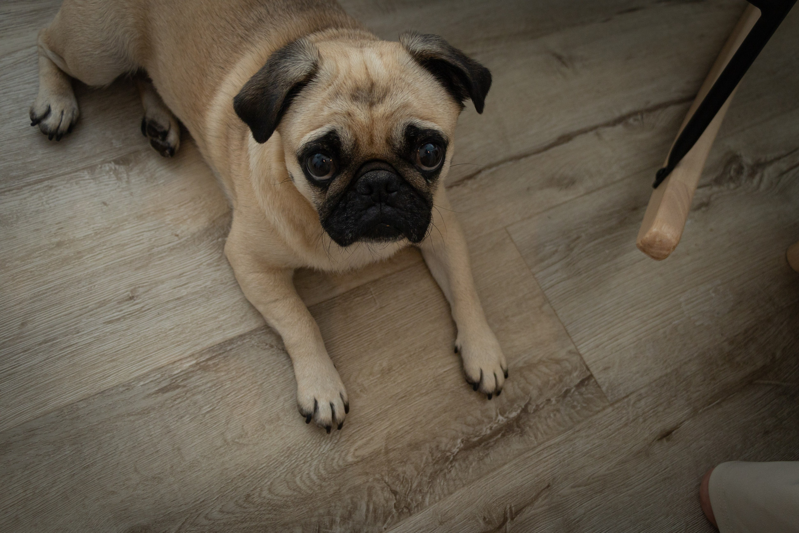 Valerijas Familiea. PHOTOgrapher Germany MARBURG