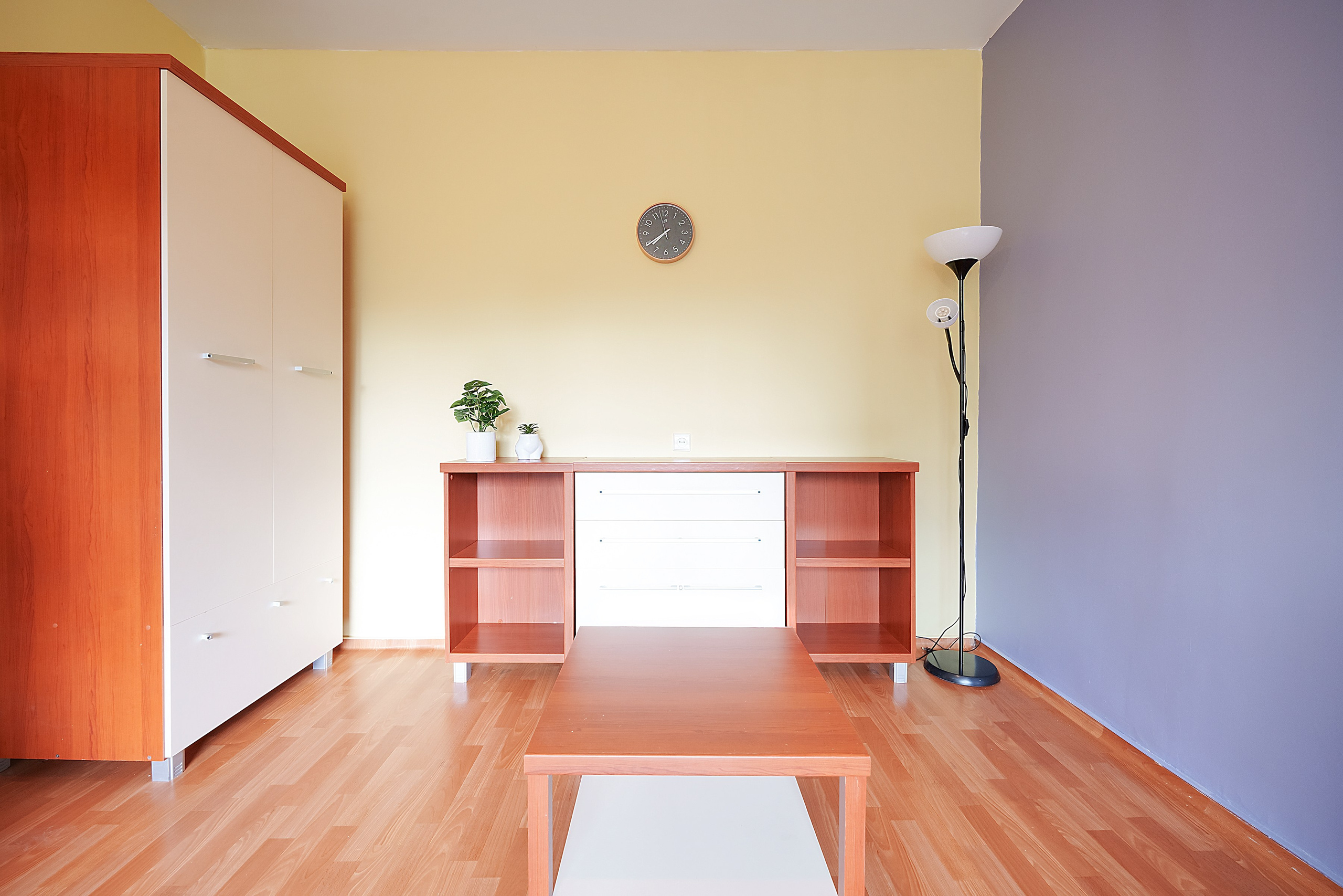 Gelvonų g. 41. Elina Sapiega fotografė Vilniuje