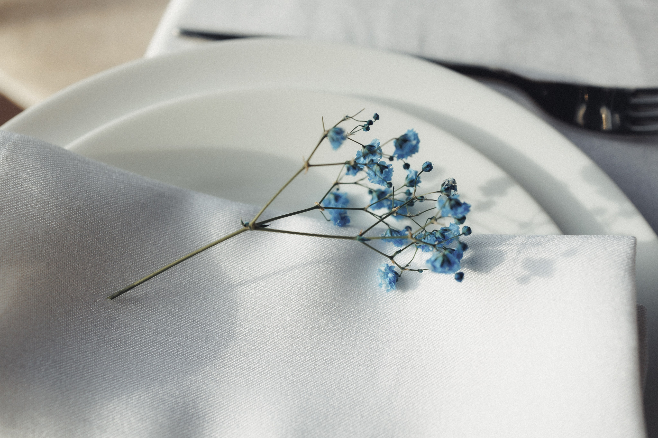 Sergiu & Cristina. Fotograful evenimentului tău