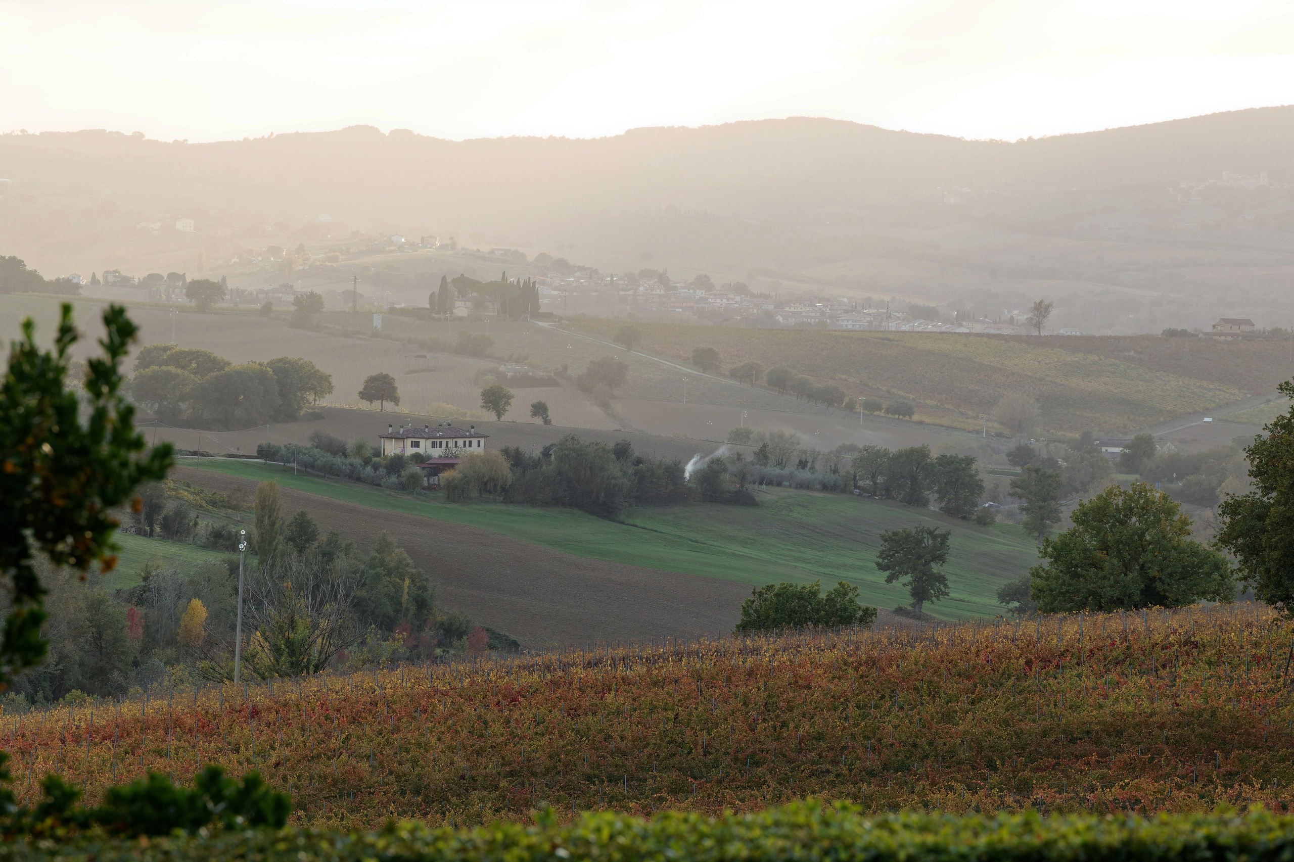 Wedding at Fonte Sala, Umbria
