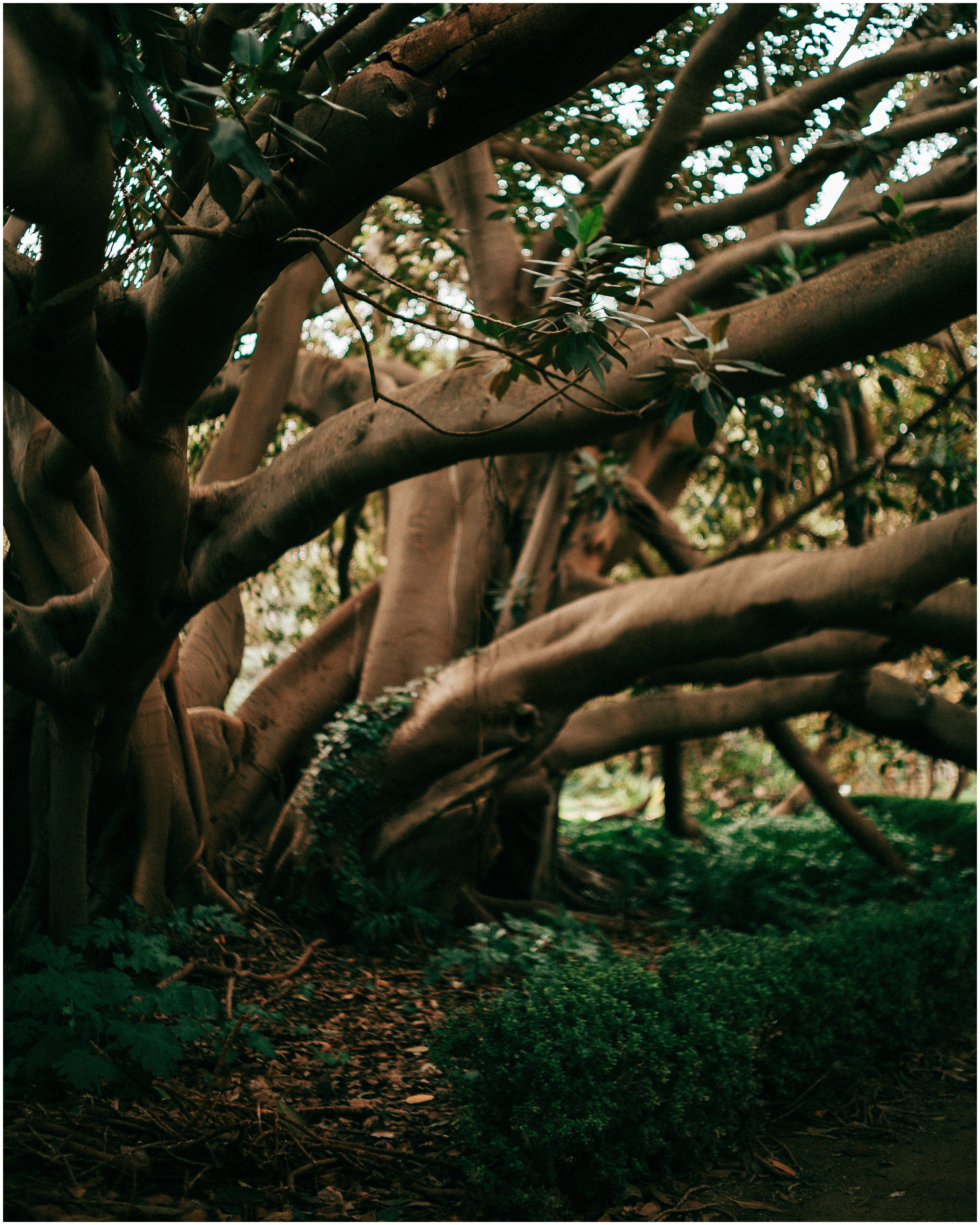 PALERMO. Photographer Inna Mendelson