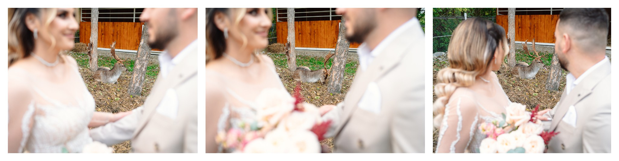Civil Wedding | Sorina & Dragos. Fotograf de nuntă și botez în Dâmbovița și București | Chivescu Alexandru