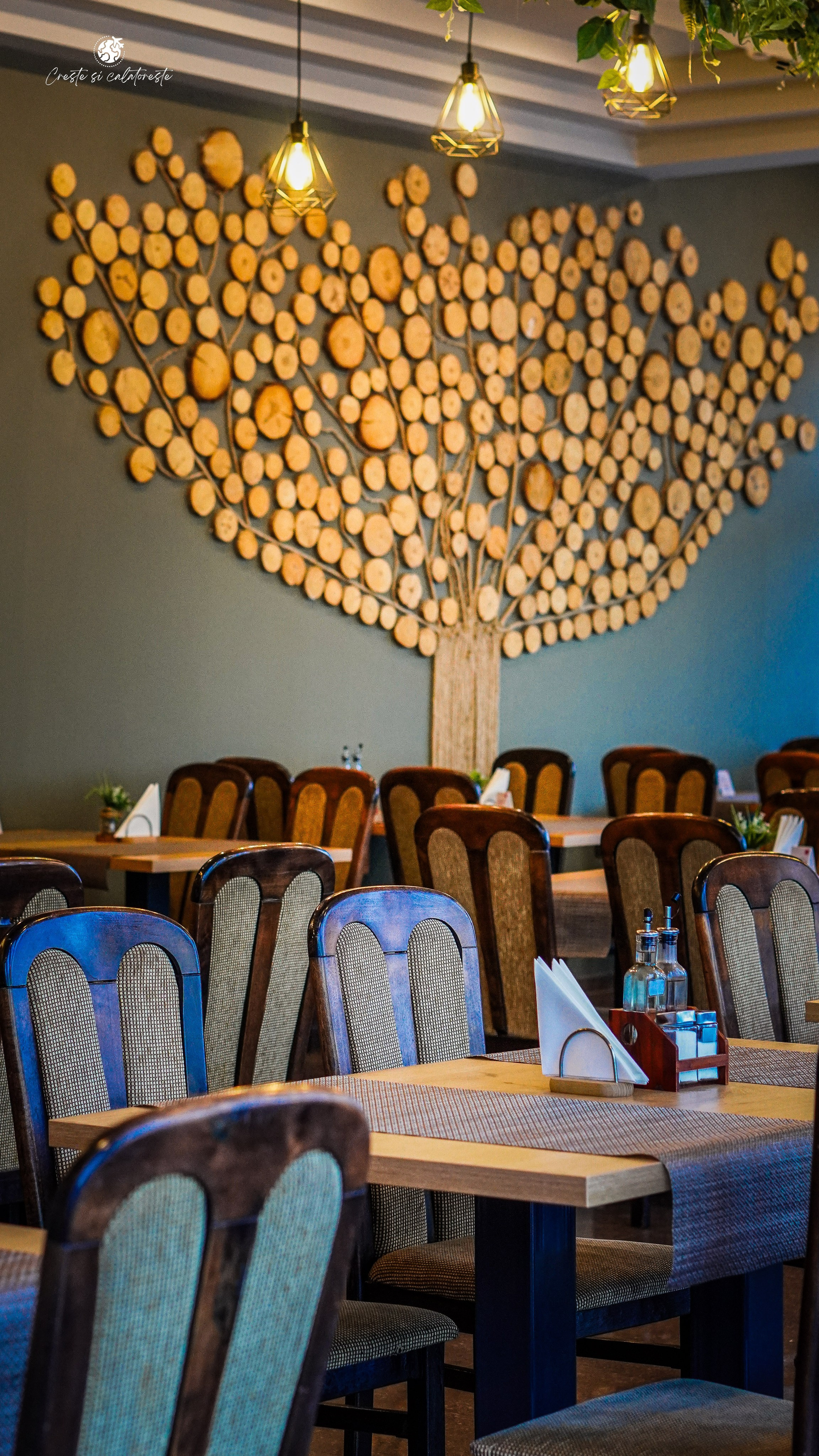 Bacolux Diana. Creste si calatoreste