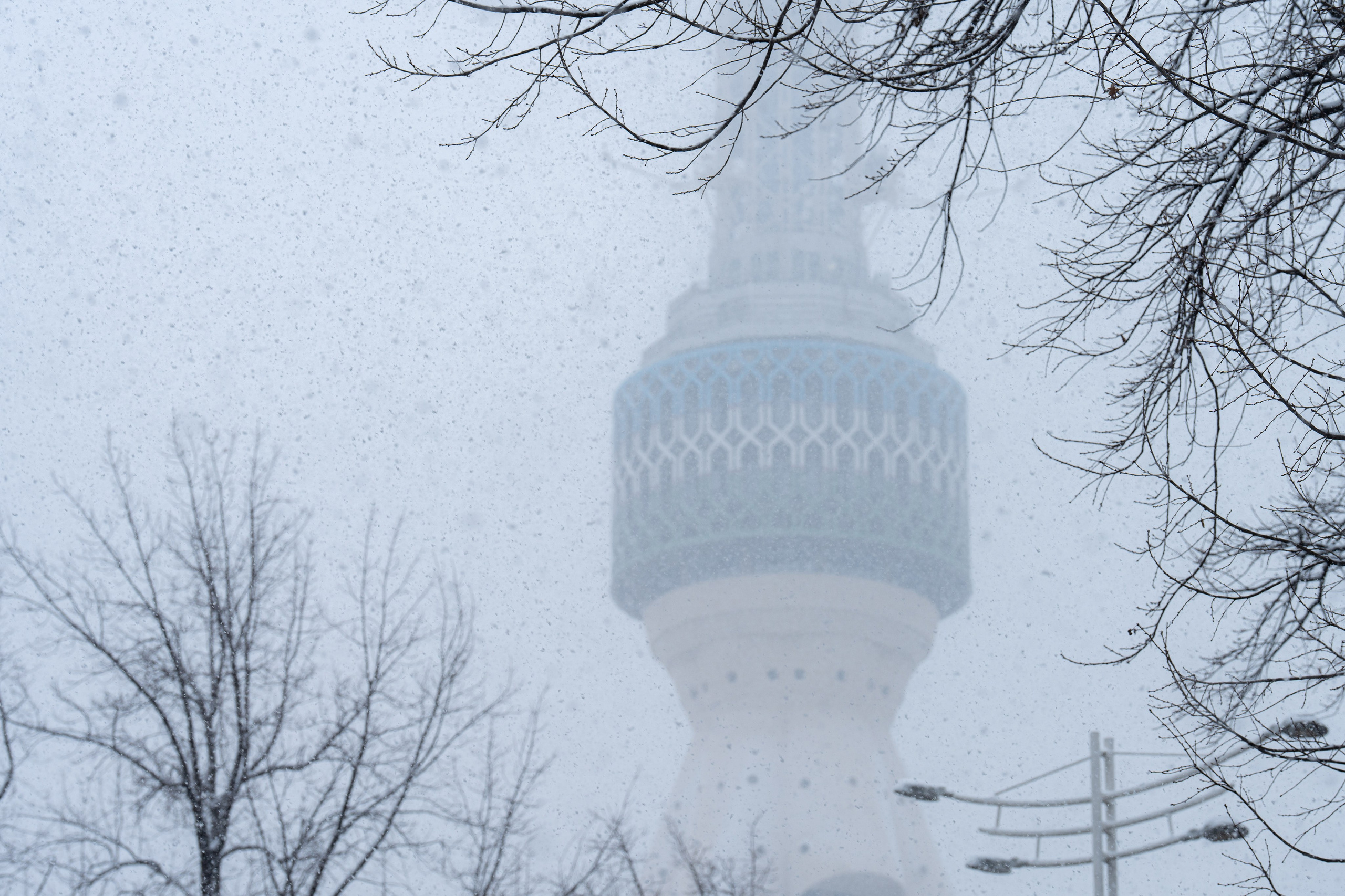 Первый снег в 2024 году. Георгий Намазов | Фотограф в Ташкенте