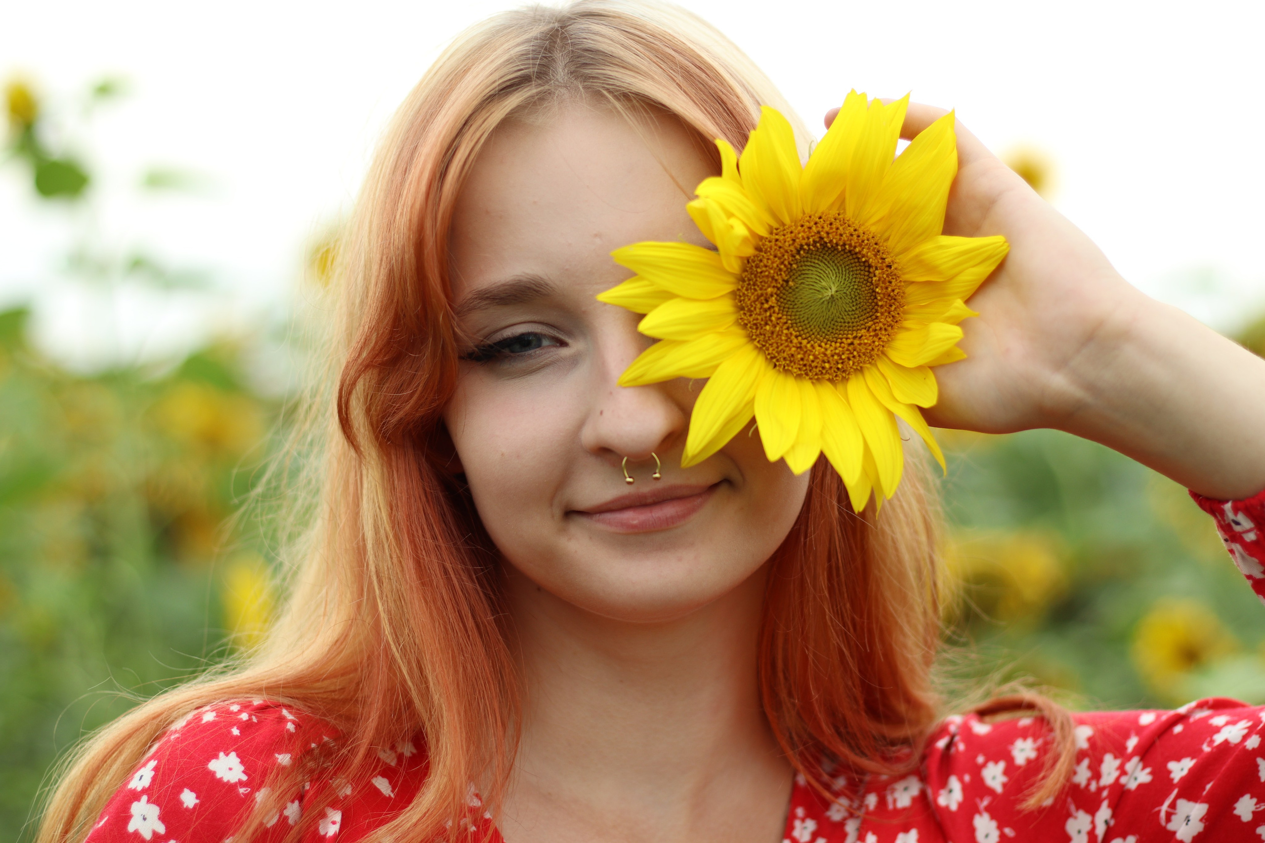 Фотосессия в подсолнухах. Фотограф / Даугавпилс / Ольга Антонова