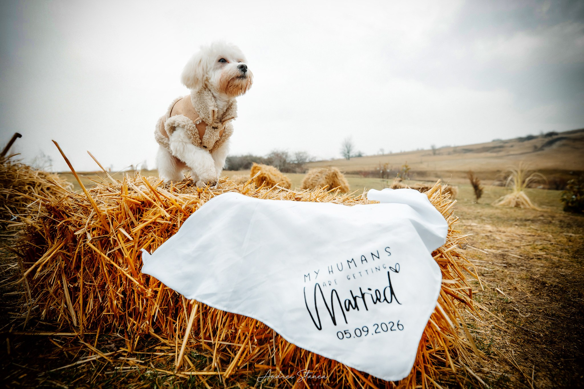 Andreea & Cristi. Andrei Stanea