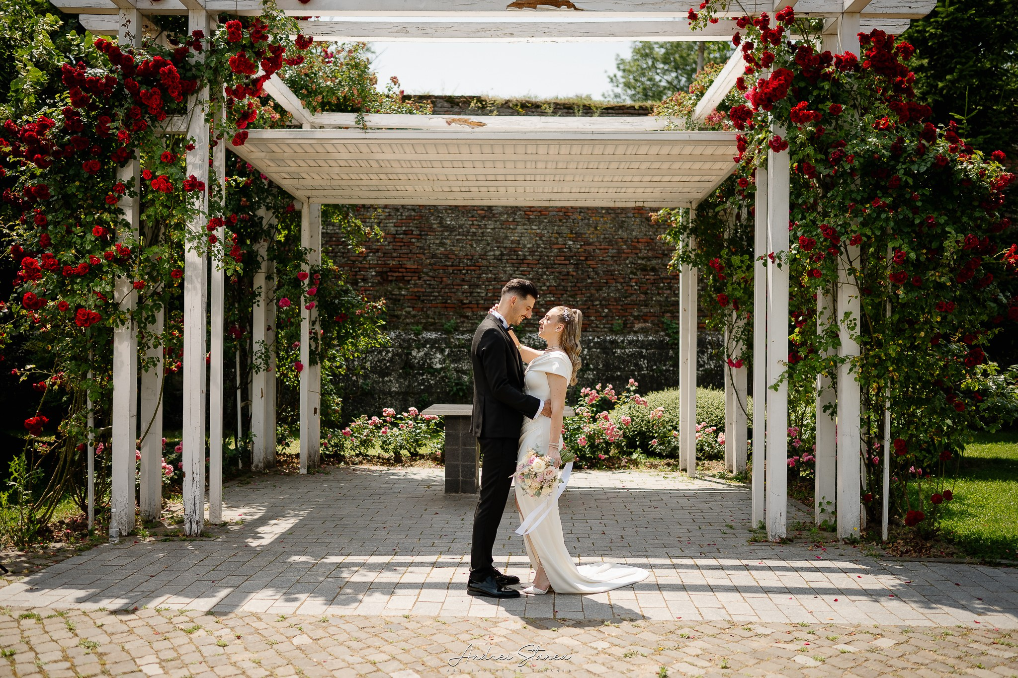 Edi & Oli. Andrei Stanea