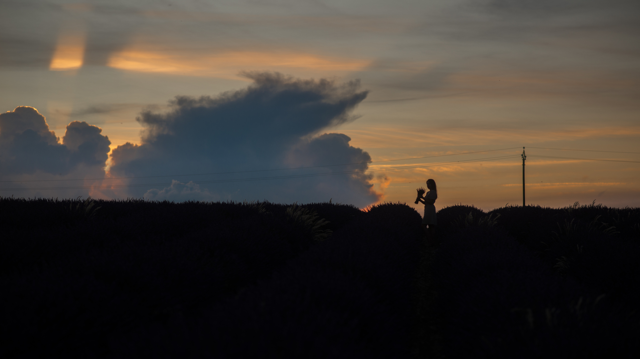 Лаванда и Прованс. Свадебный и семейный фотограф в Марселе и Провансе. Elvira Tabisheva