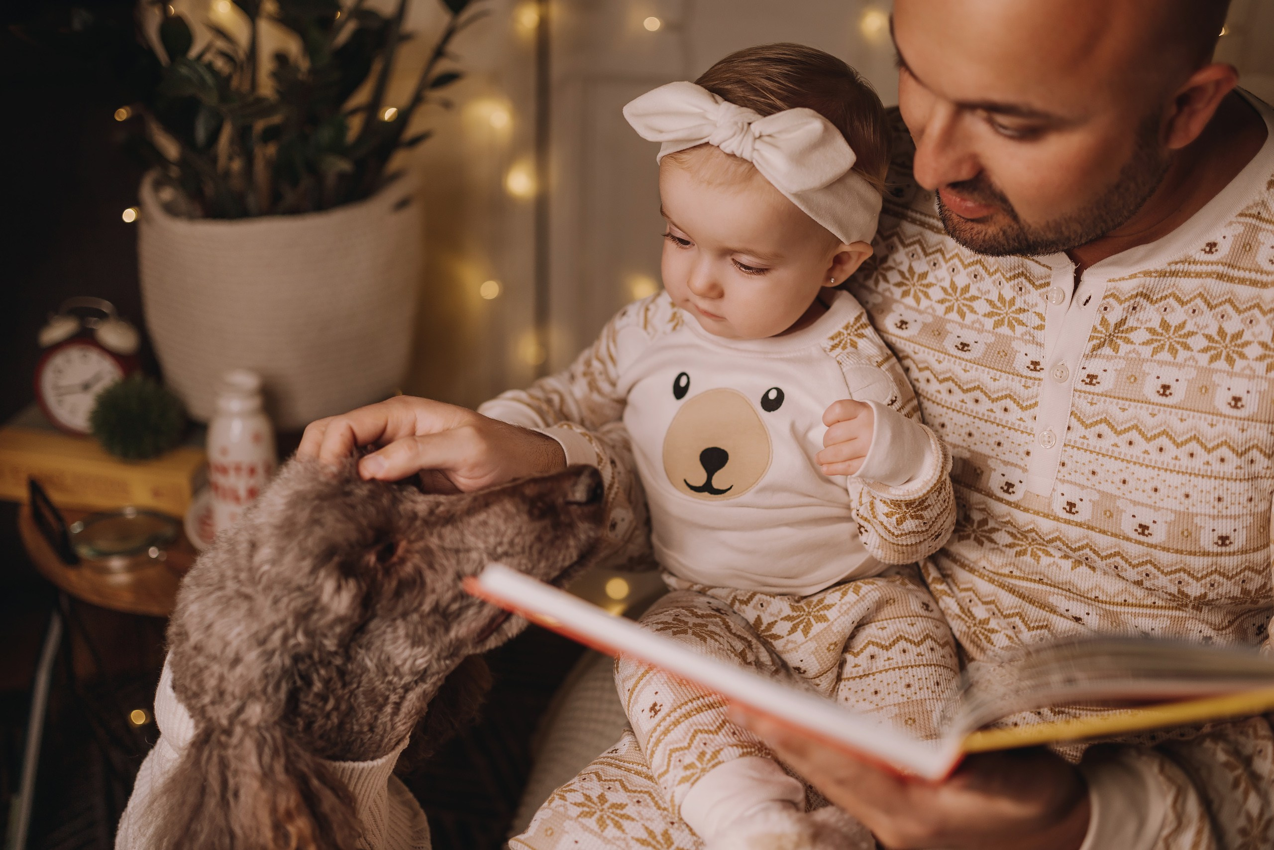 09.12.2023 Christmas Photoshoot. Wedding family event photographer in Chicago Nick Yushevich