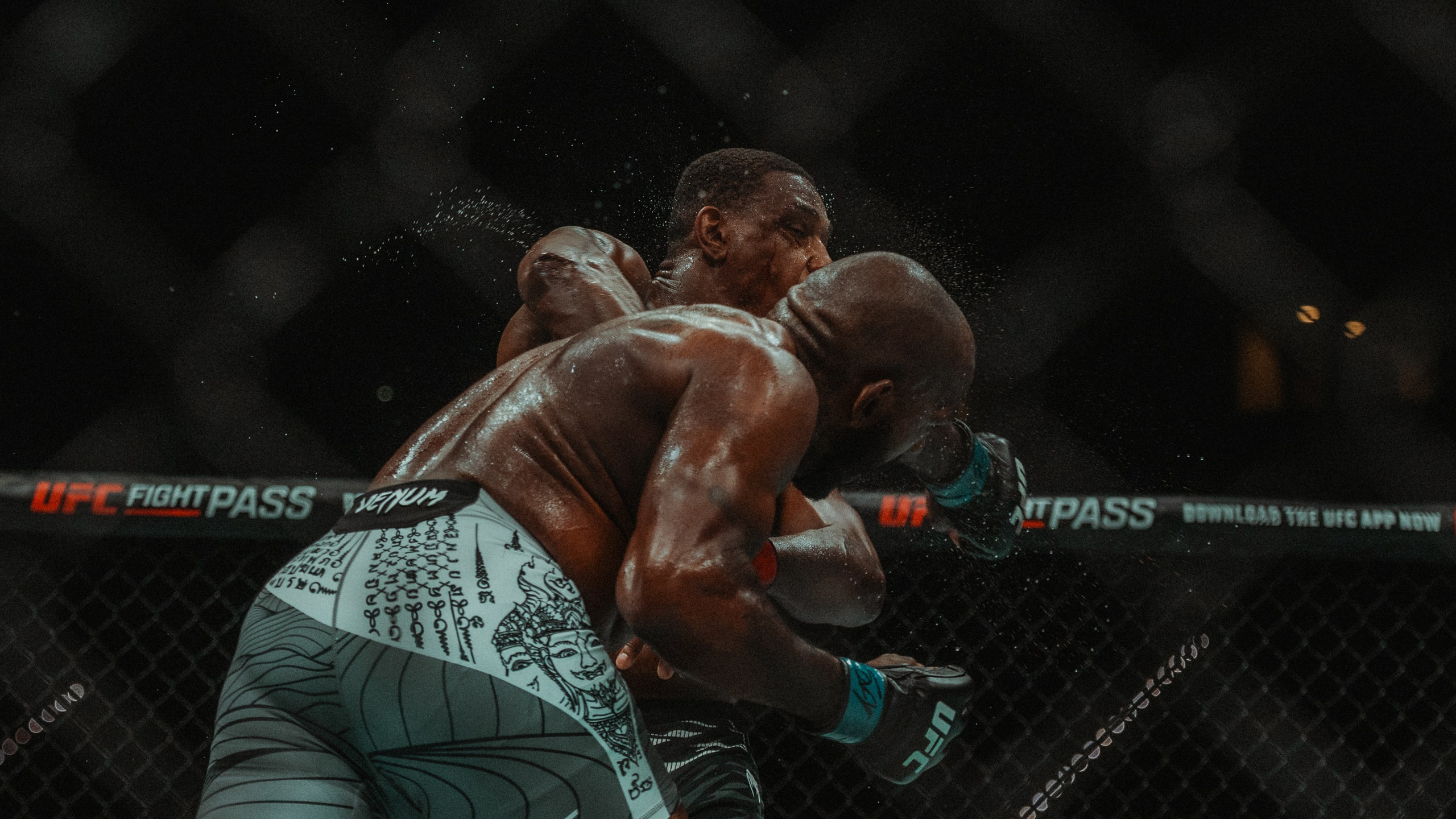 UFC. Commercial and Event photographer Eltaj