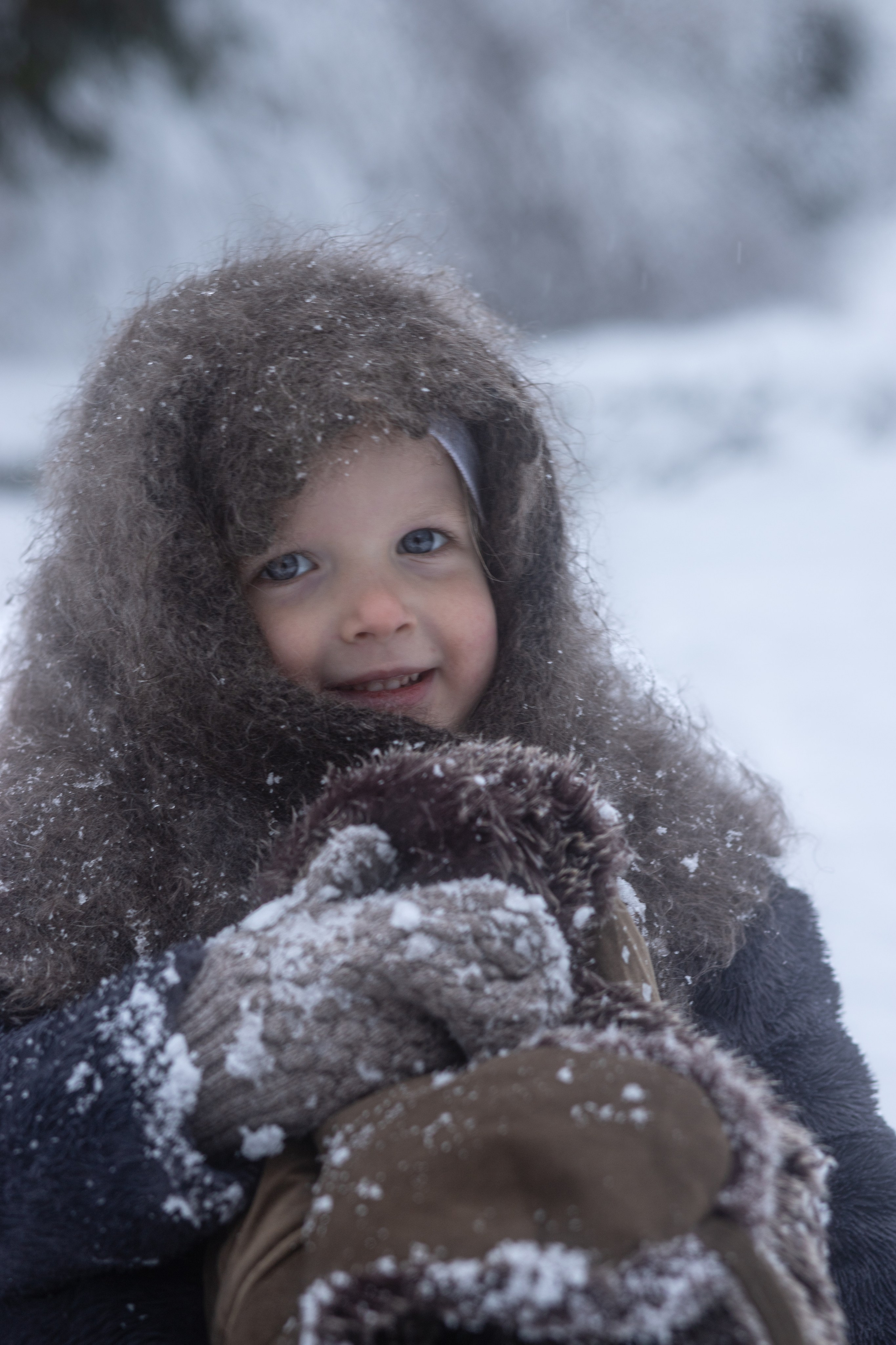 Ein Weihnachtsmärchen. Olena Fritz Fotografie