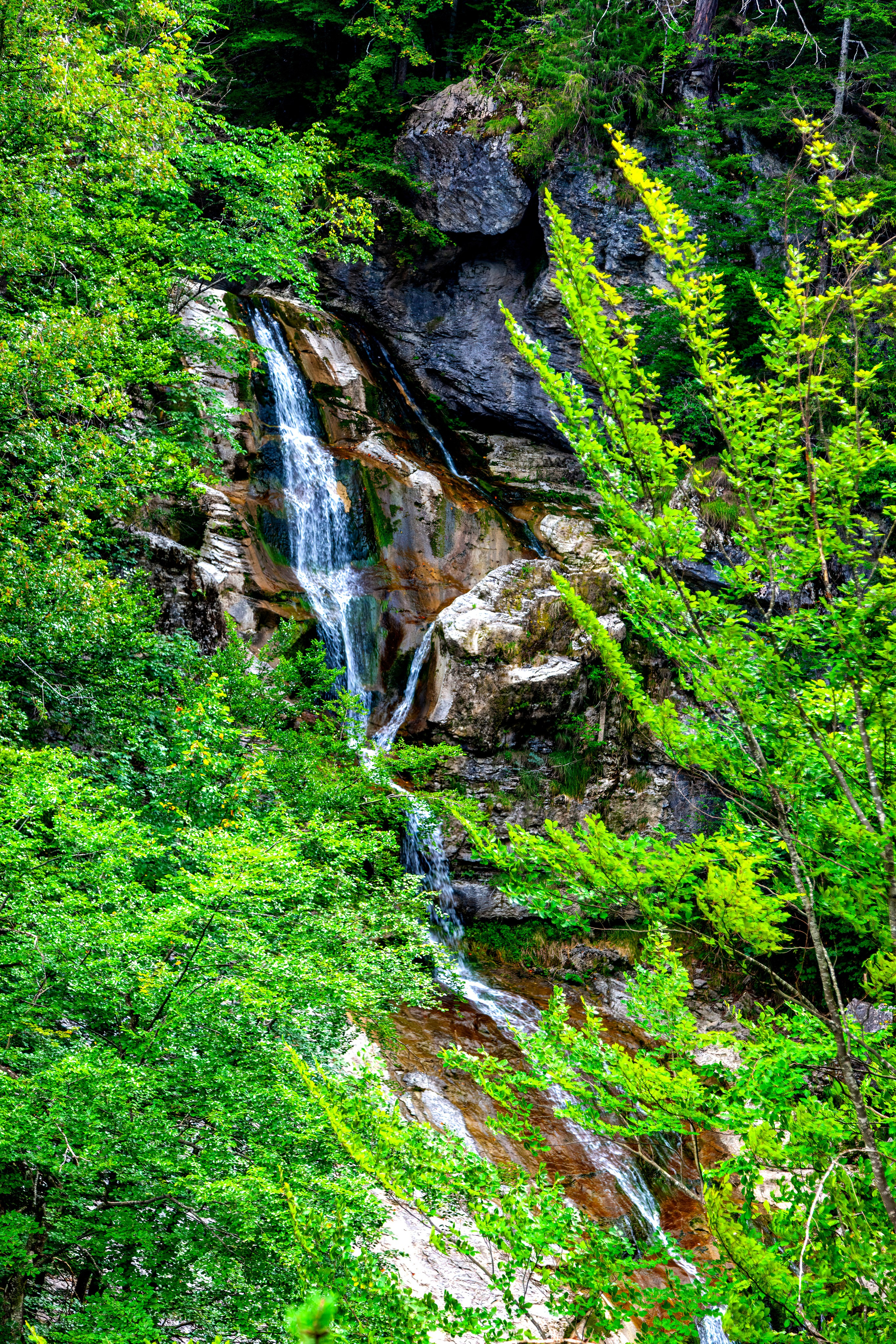 197.Ötscher Base Nature Park.Austria.21.8.2025. Путешествия в формате 360......