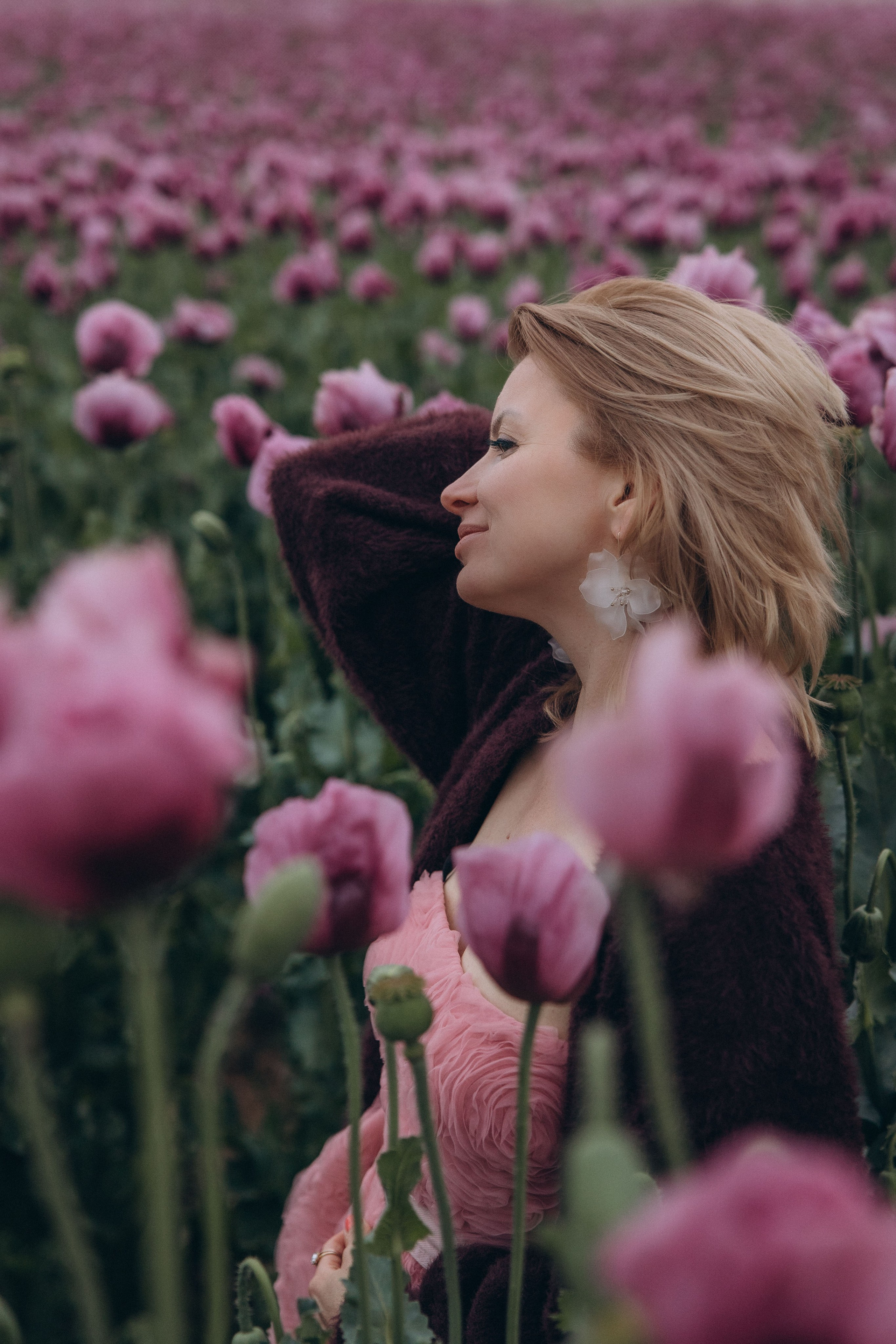 Pink Poppies. Kristina Podolyakova - Fotografin in Ludwigsburg