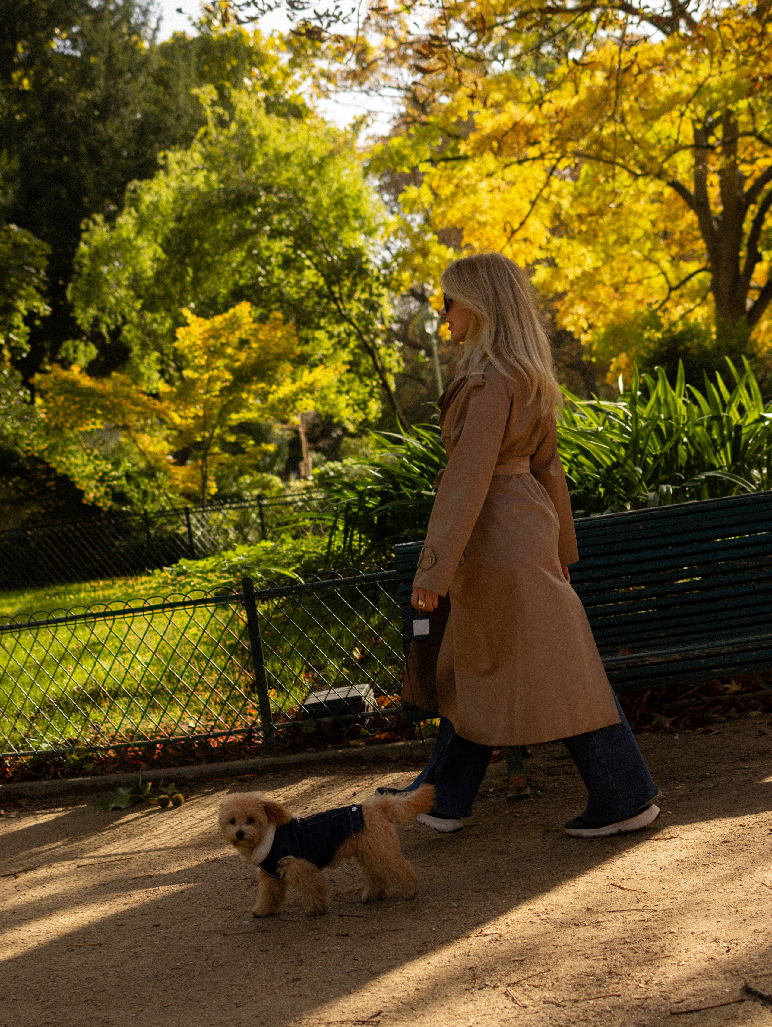 Barney, Nastya et Kolya. Photographe animalier à Paris Anna Pereira