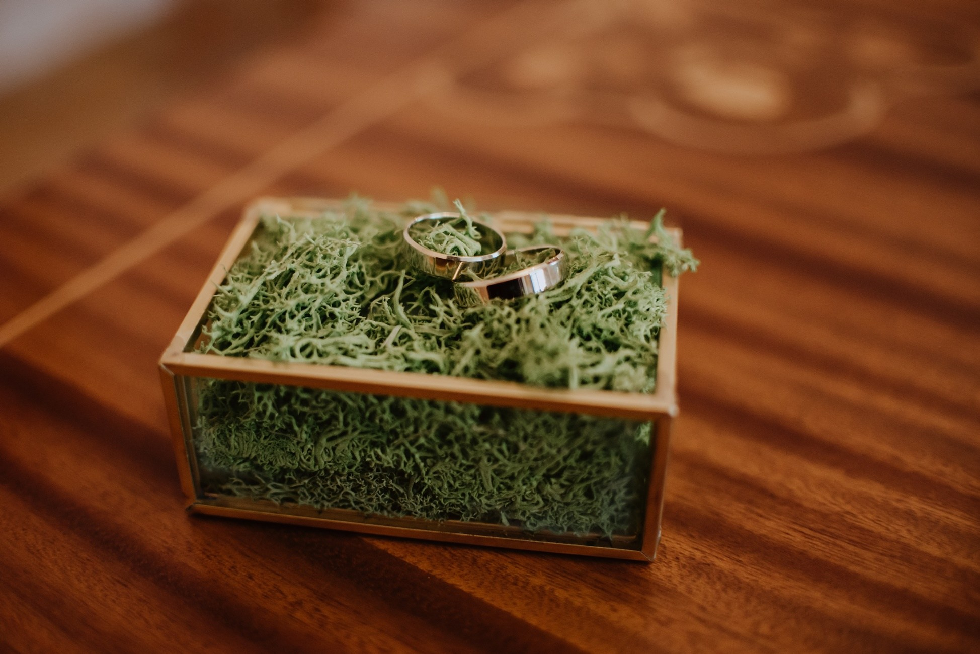 Kasia i Krzysztof. Dominika Strachacka Fotografia | Fotograf ślubny i rodzinny Opole Lubelskie Lublin