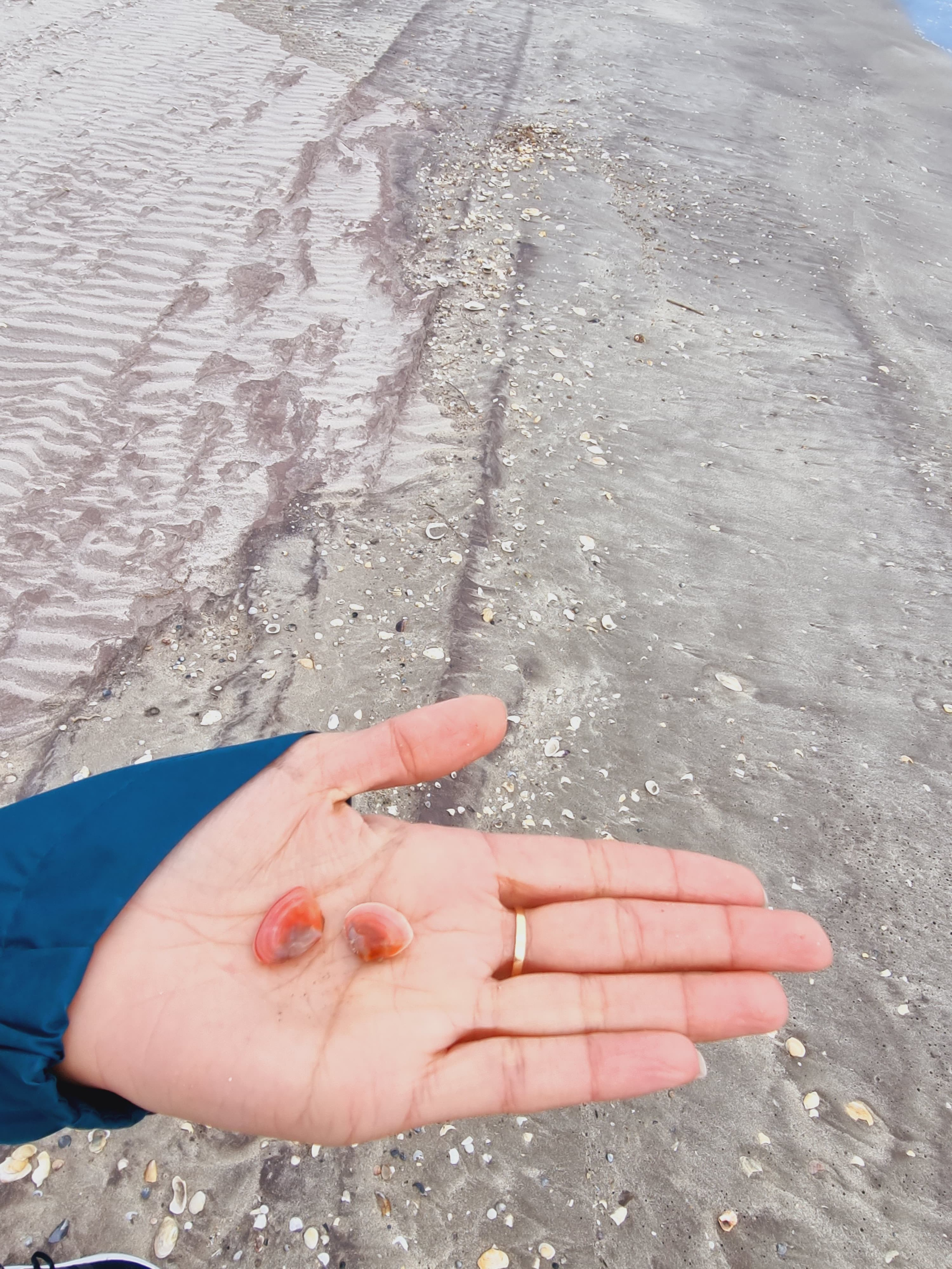 Bucati dintr-o drona Ucraineana gasite pe plaja Vadu