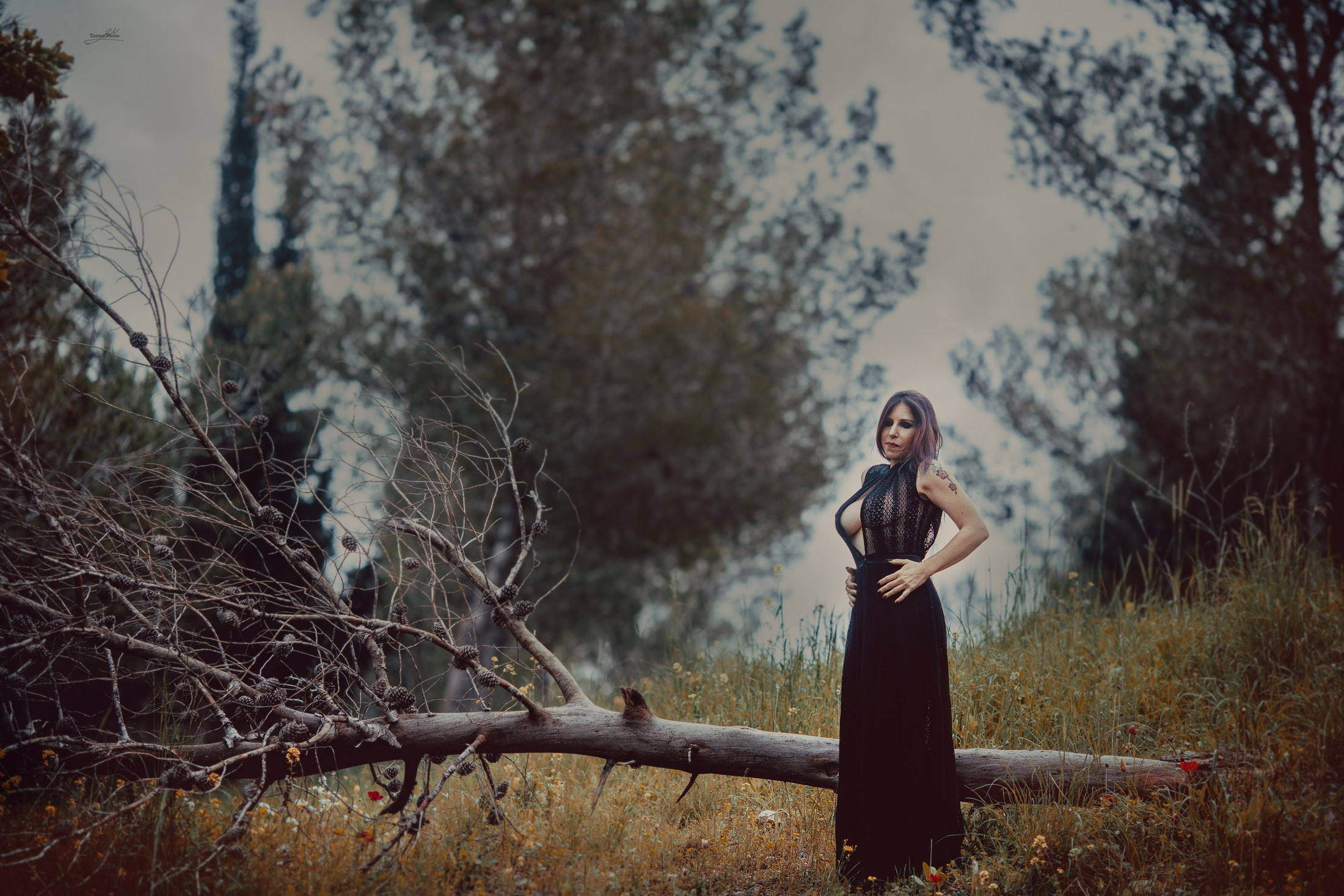 Fine Art Image gallery of Tomer Weiss Fine art