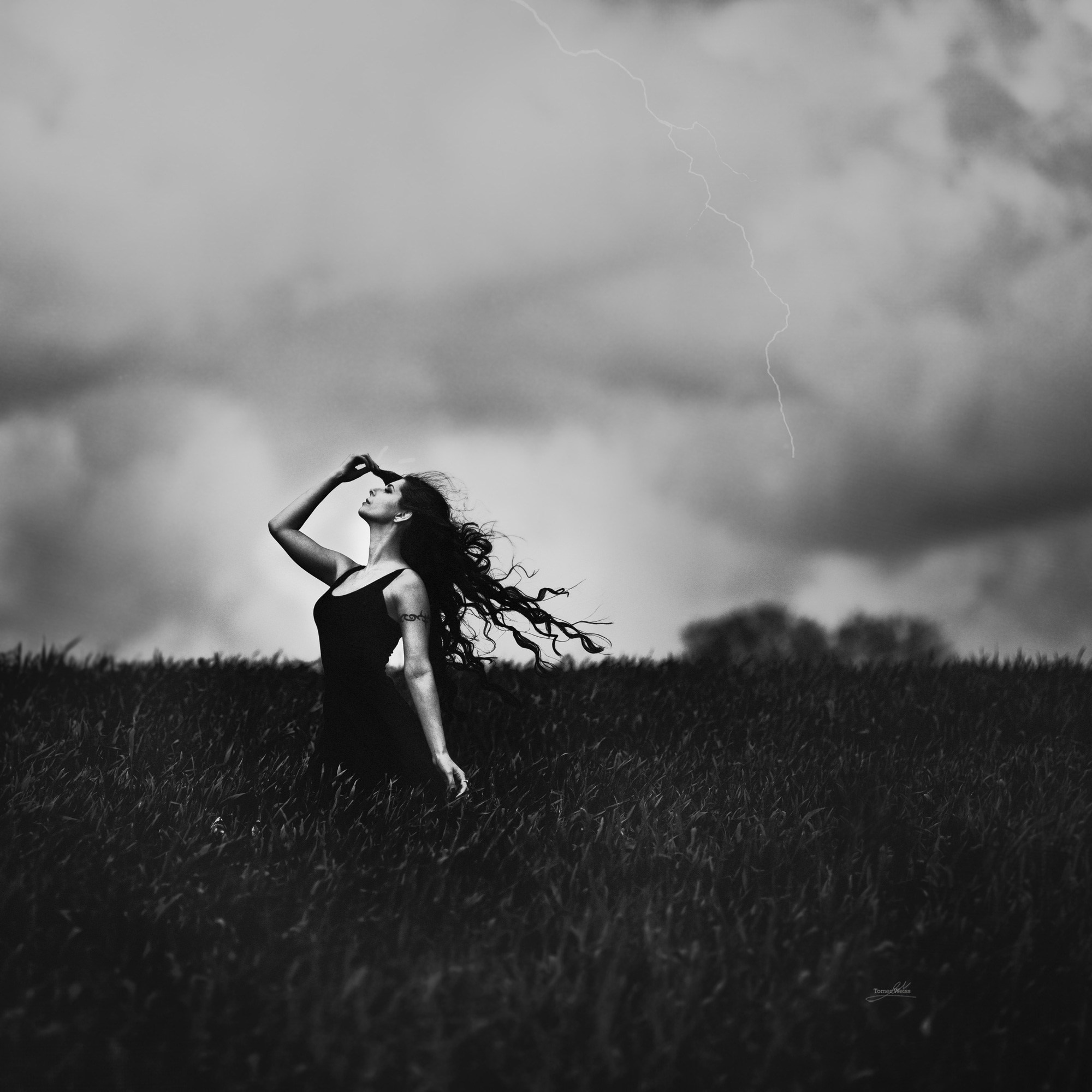 Fine Art Image gallery of Tomer Weiss Fine art